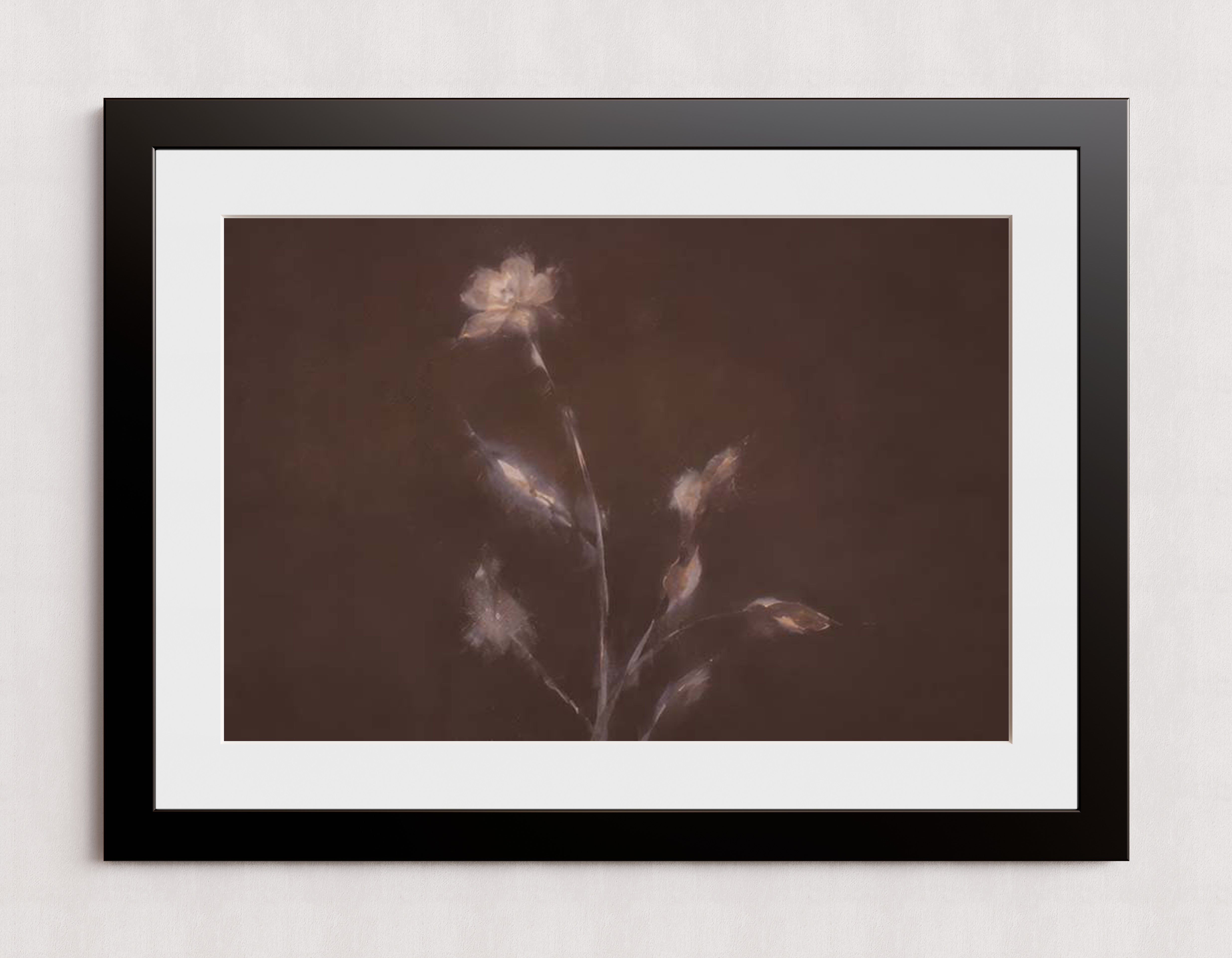 MPPR-BLKF-ACRL-MAT3-30X20-P01-0184-260704-IREORL-061101