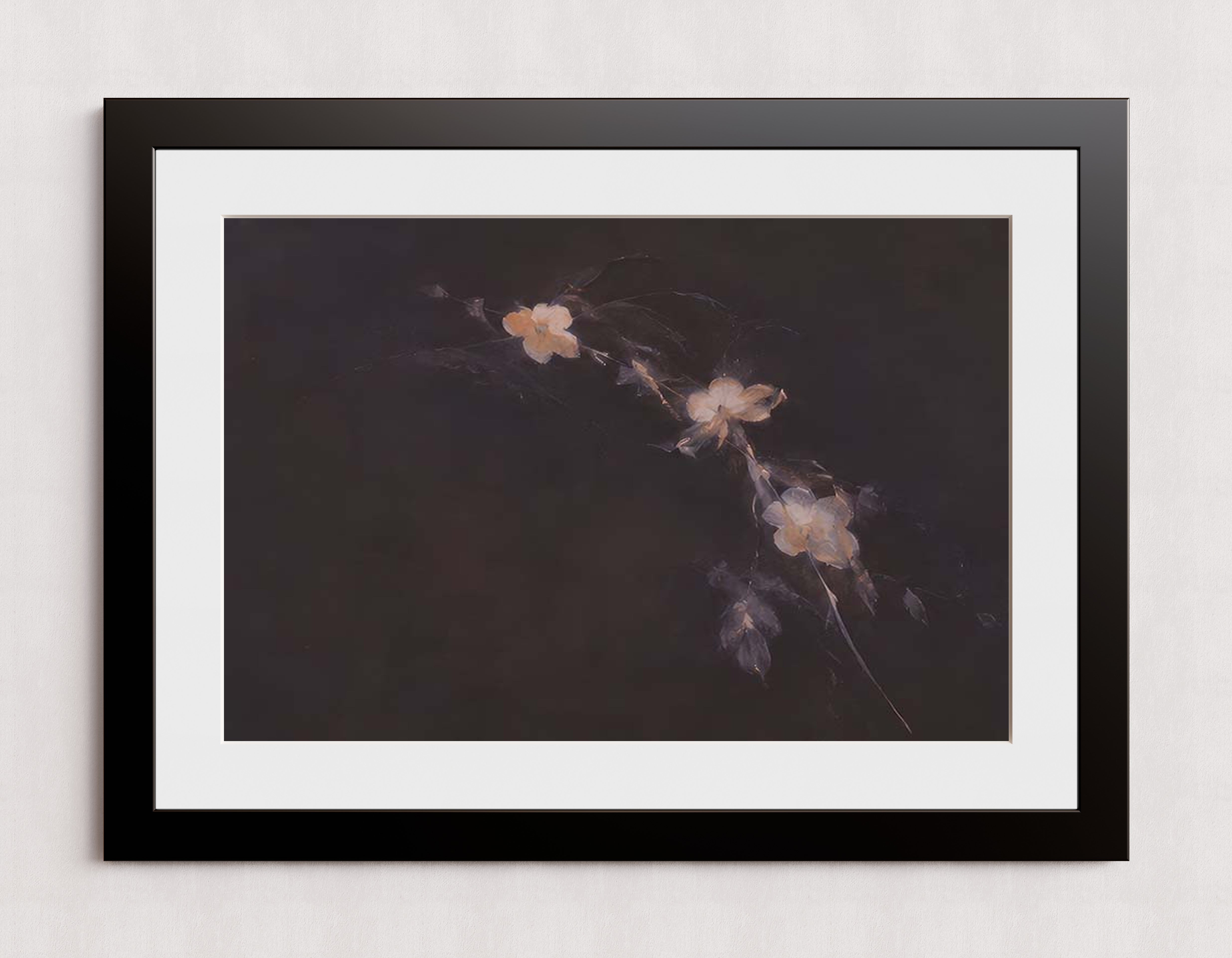 MPPR-BLKF-ACRL-MAT3-30X20-P01-0184-260704-IREORL-061201