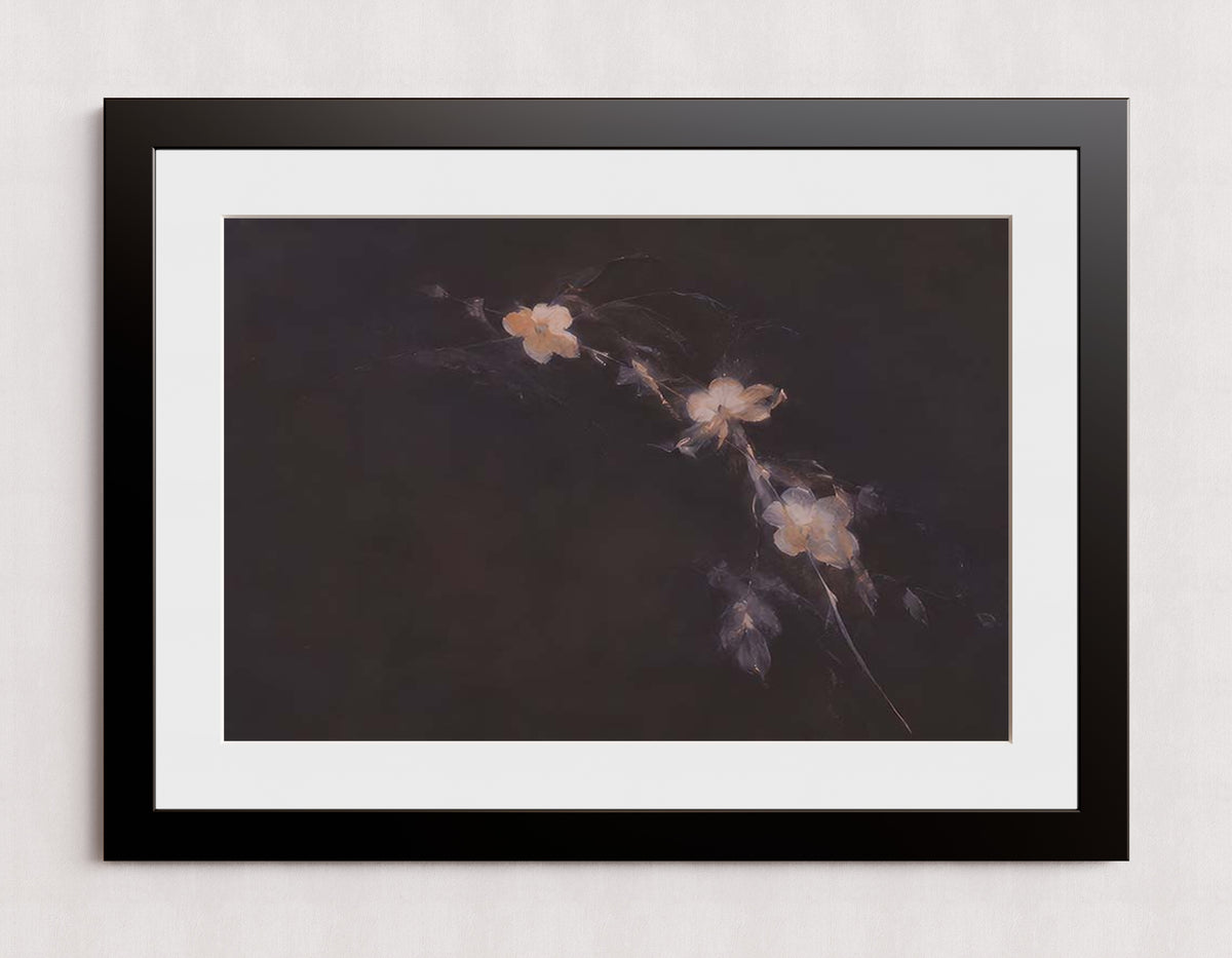 MPPR-BLKF-ACRL-MAT3-30X20-P01-0184-260704-IREORL-061201