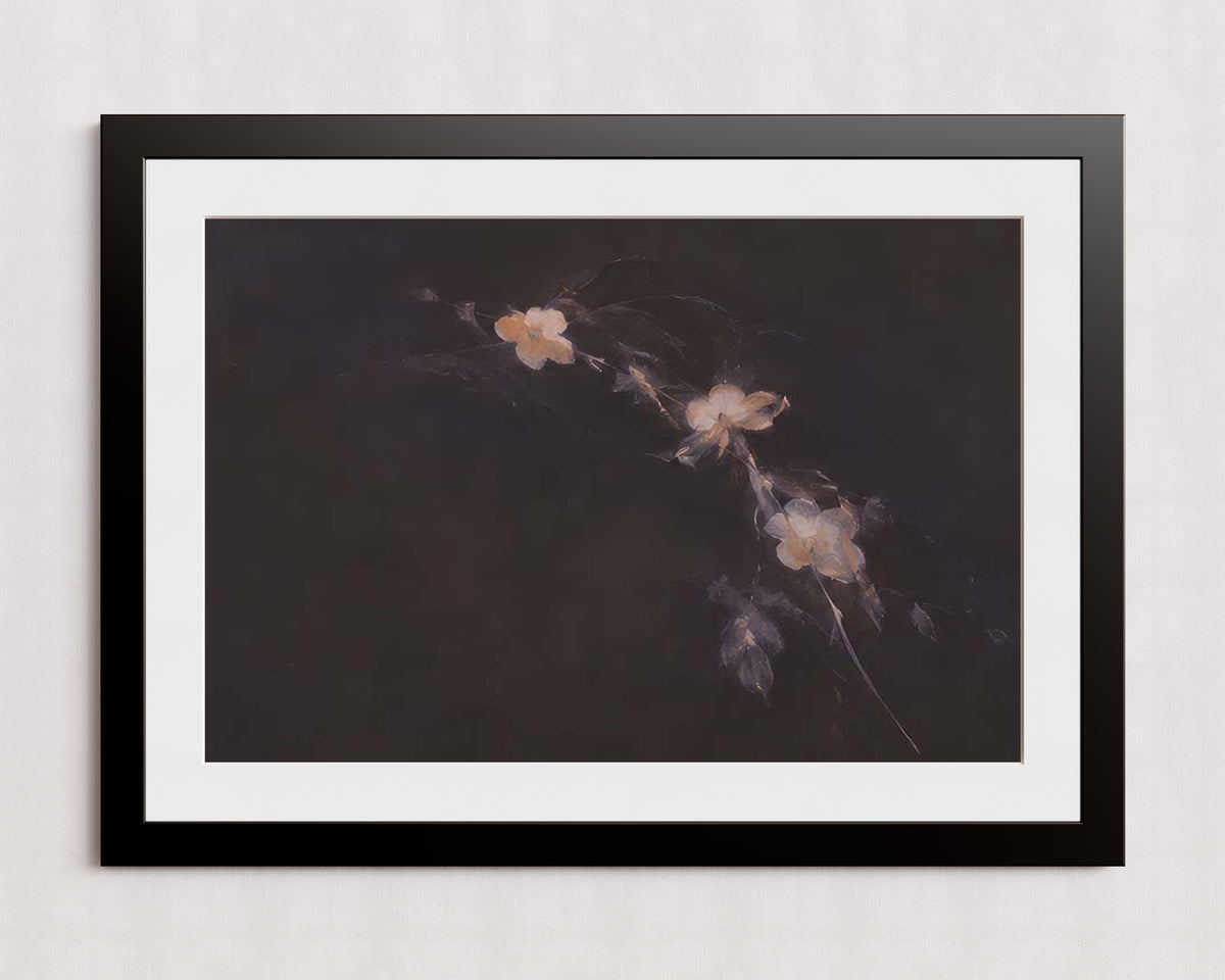 MPPR-BLKF-ACRL-MAT3-36X24-P01-0184-260704-IREORL-061201