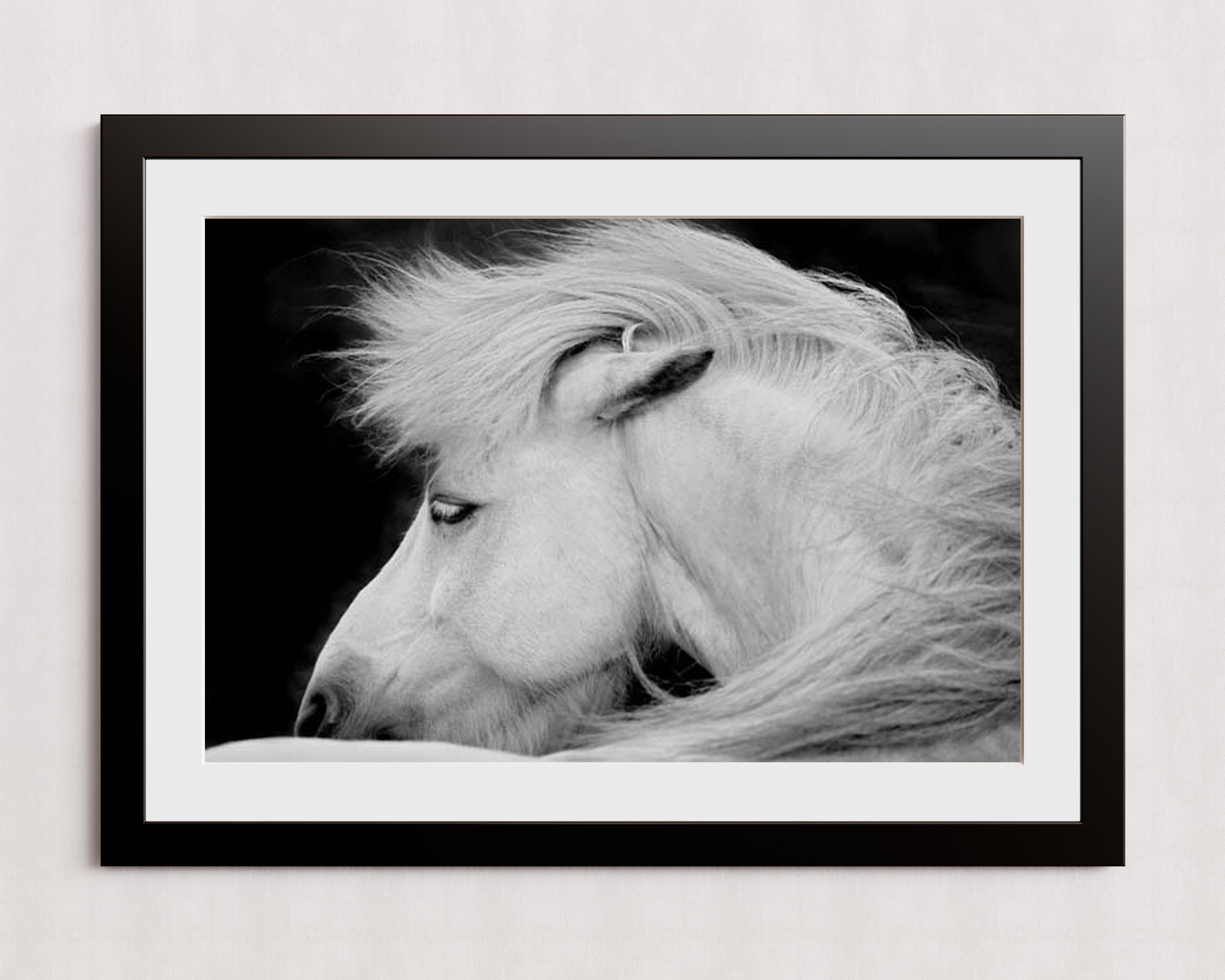 MPPR-BLKF-ACRL-MAT3-36X24-P01-0189-240403-1XXXXX-073101