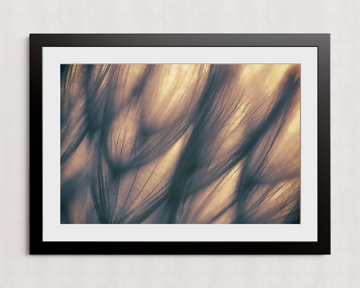MPPR-BLKF-ACRL-MAT3-36X24-P01-9998-260904-1XXXX2-018701