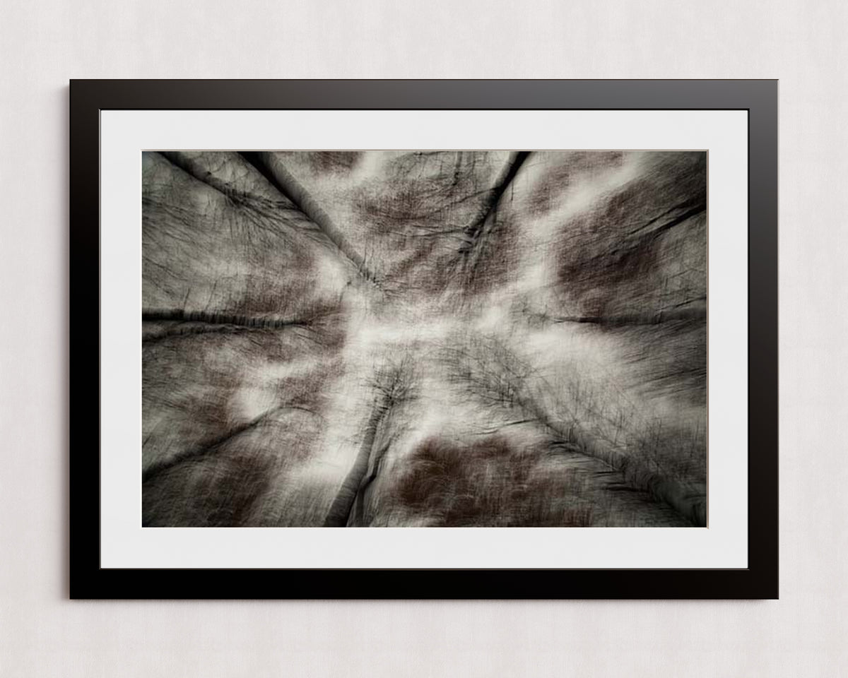 MPPR-BLKF-ACRL-MAT3-36X24-P01-9998-260904-1XXXX2-018801
