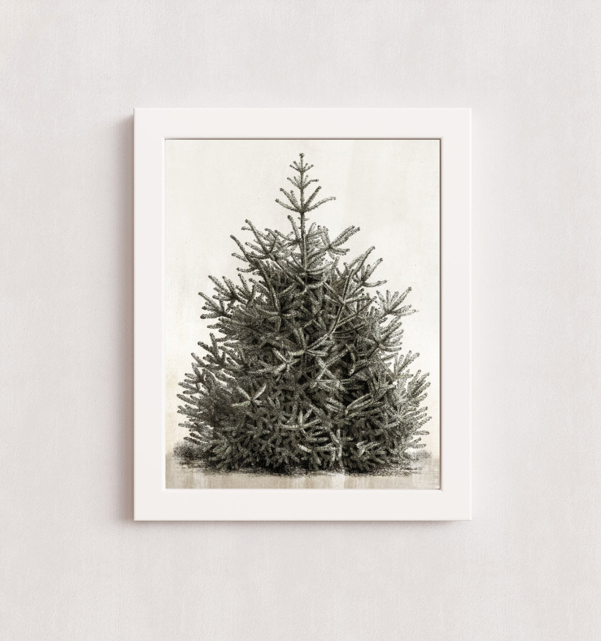 MPPR-WHTF-ACRL-0000-11X14-P00-0107-210126-PISTUX-017101