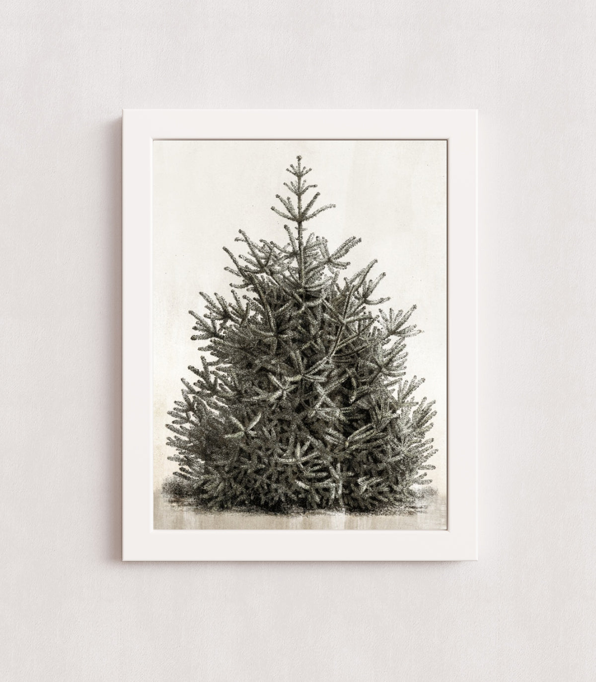 MPPR-WHTF-ACRL-0000-12X16-P00-0107-210126-PISTUX-017101
