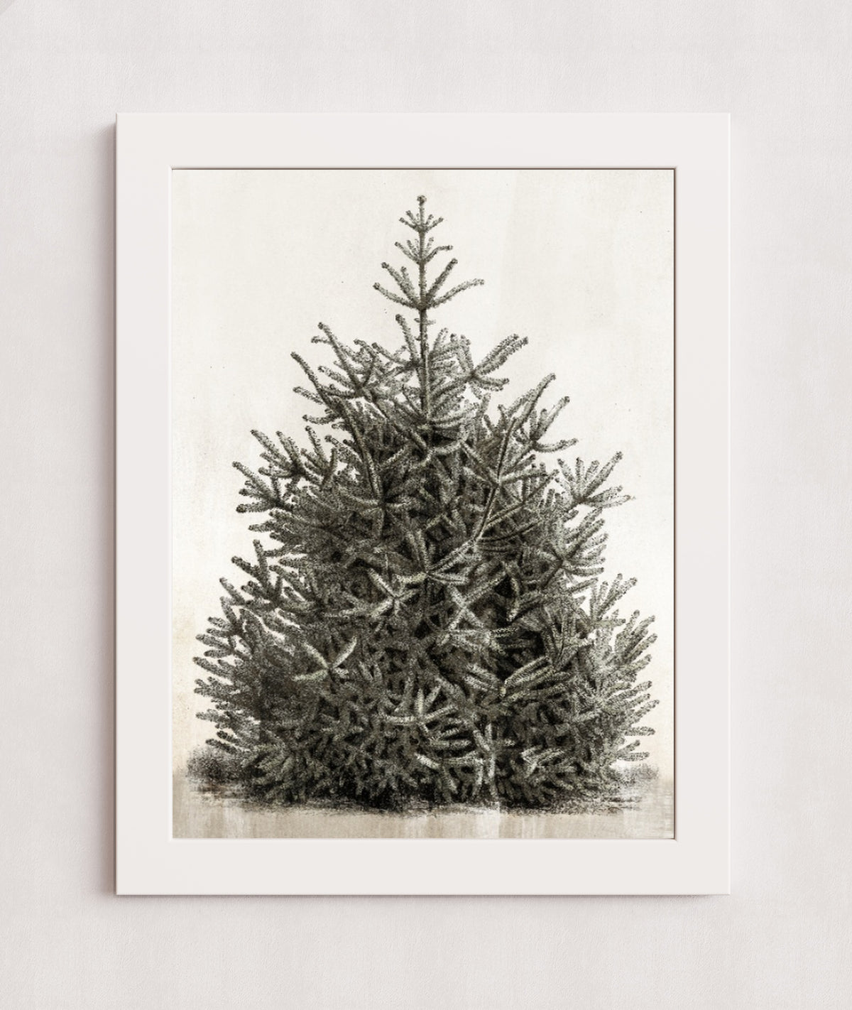 MPPR-WHTF-ACRL-0000-18X24-P00-0107-210126-PISTUX-017101
