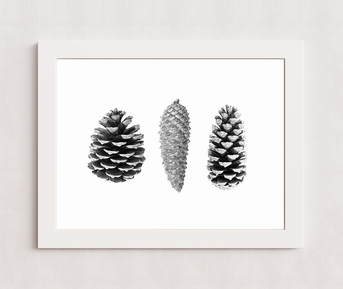 MPPR-WHTF-ACRL-0000-24X18-P01-9998-261006-1XXXX2-030301