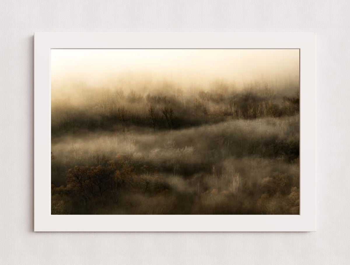 MPPR-WHTF-ACRL-0000-30X20-P01-9998-260904-1XXXX2-018601