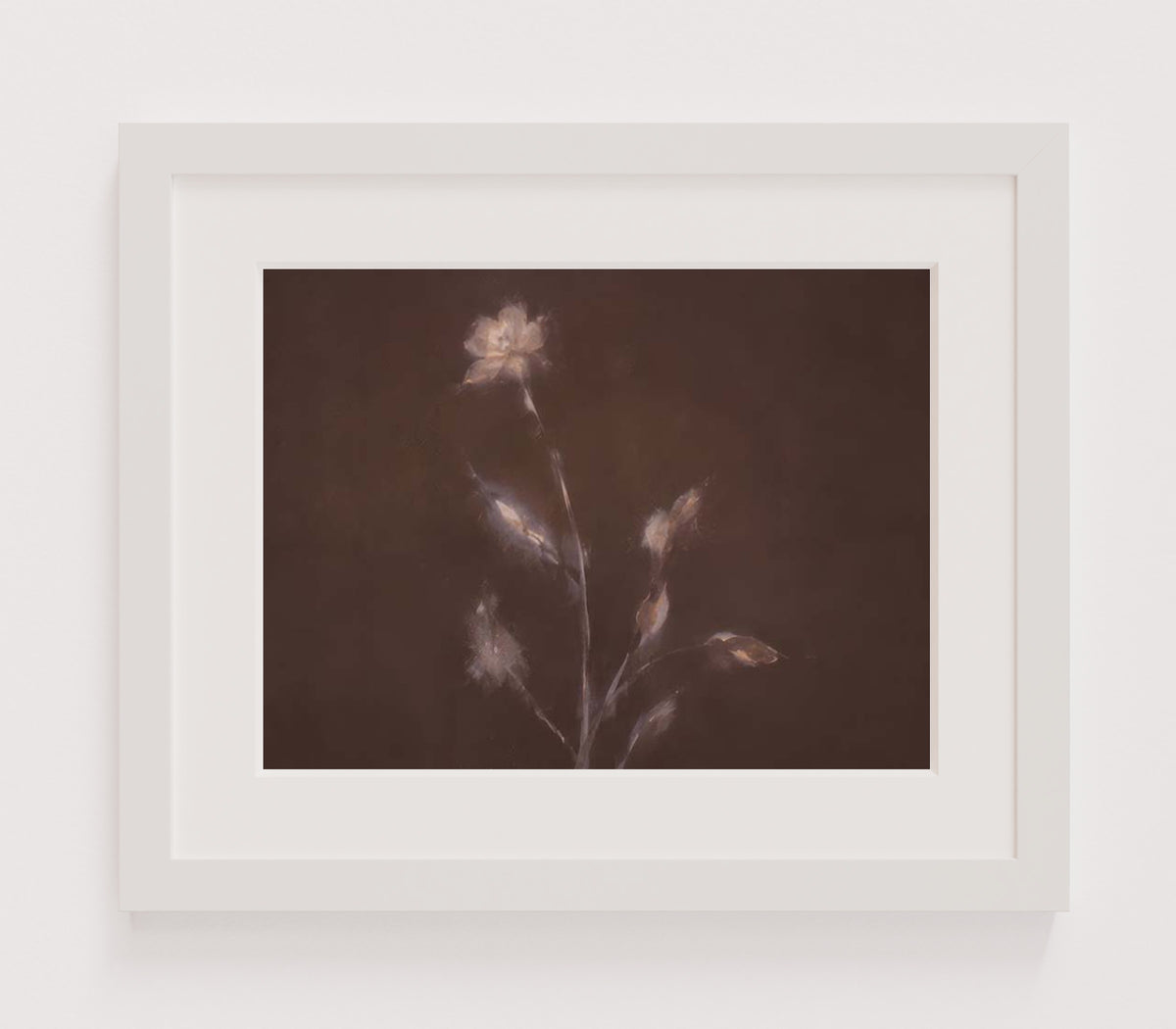 MPPR-WHTF-ACRL-MAT2-16X12-P01-0184-260704-IREORL-061101