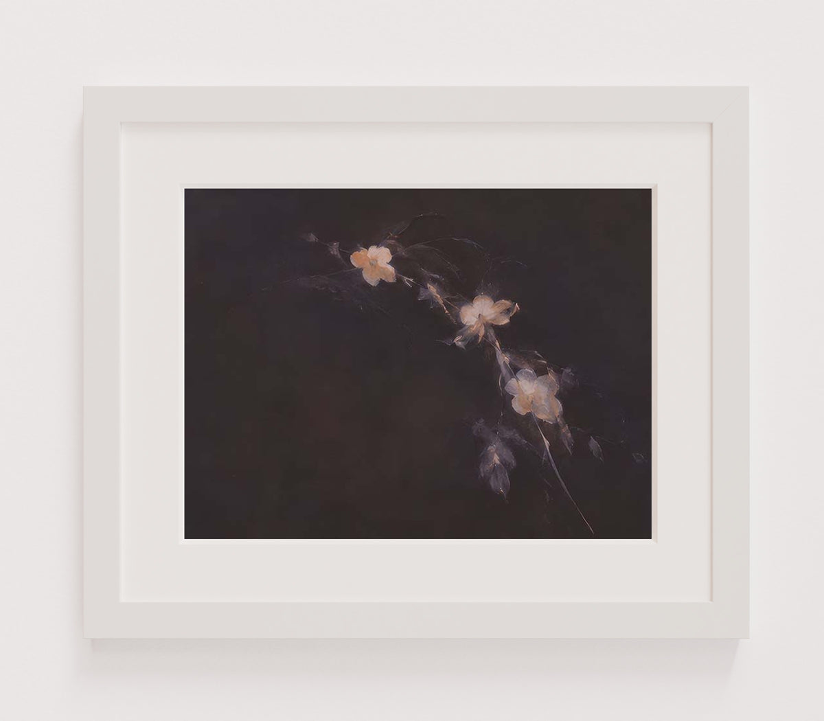 MPPR-WHTF-ACRL-MAT2-16X12-P01-0184-260704-IREORL-061201