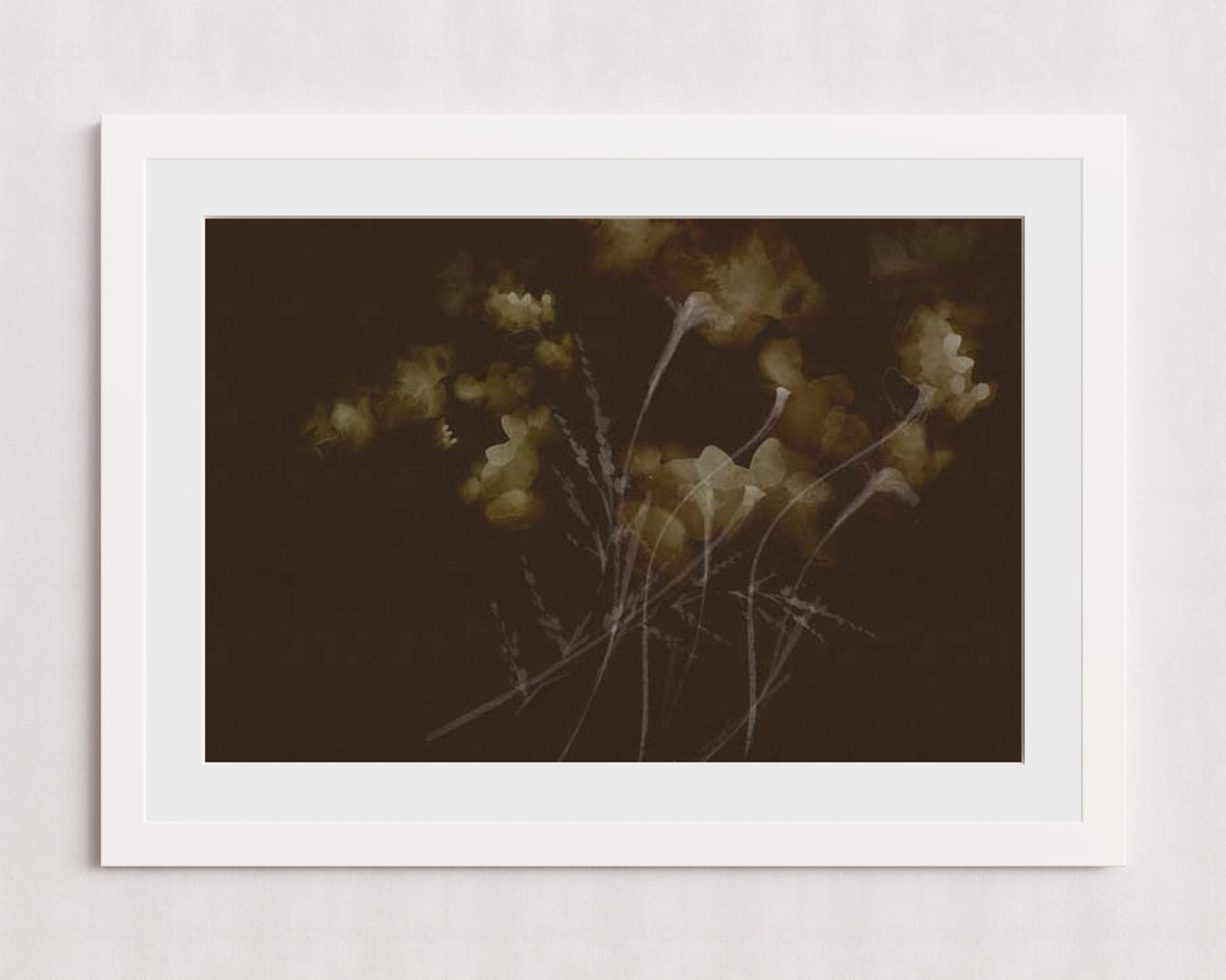 MPPR-WHTF-ACRL-MAT3-36X24-P00-0015-260921-PITRND-026001