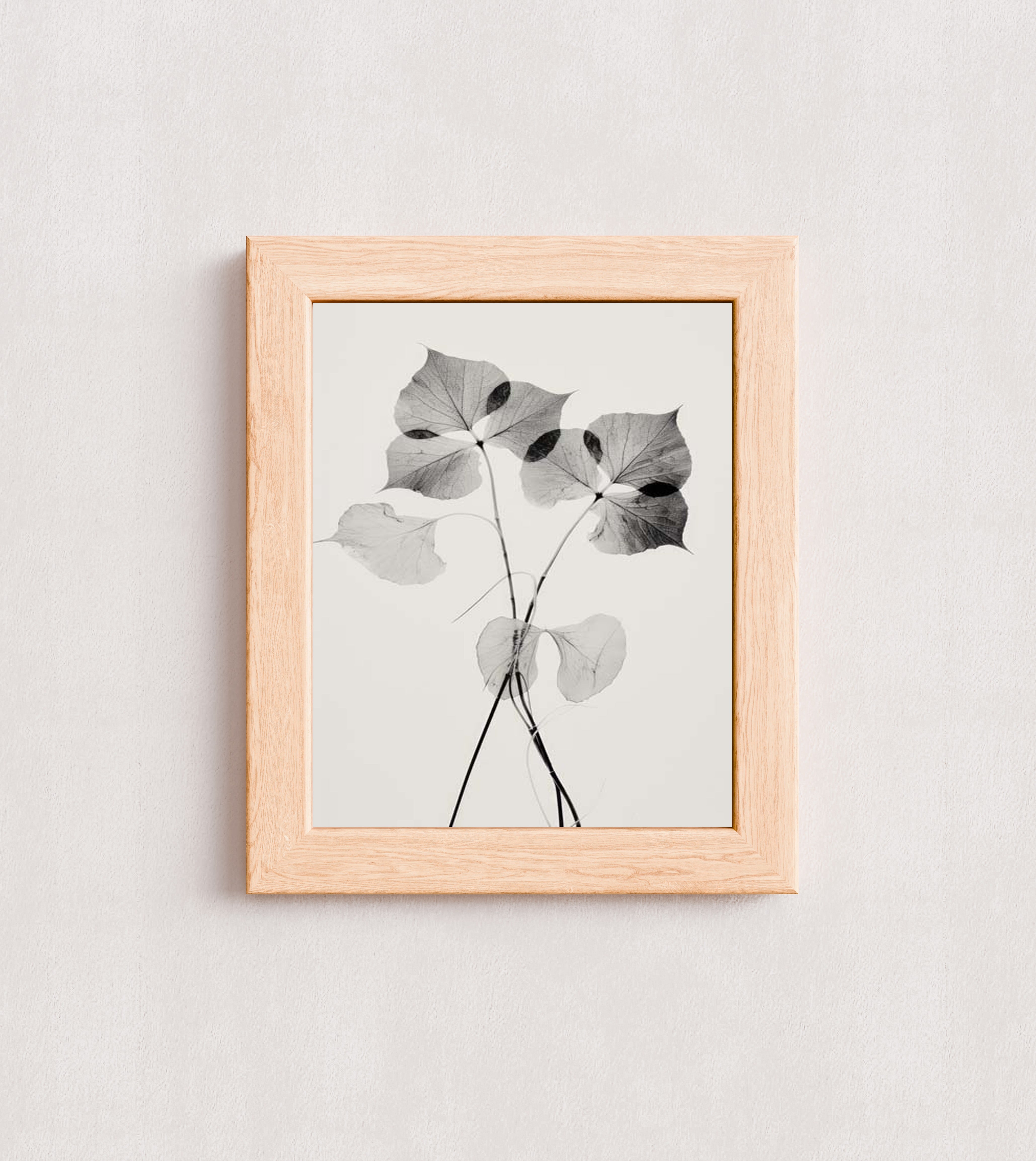 MPPR-WODF-ACRL-0000-08X10-P01-0190-260330-1XXXXX-139801
