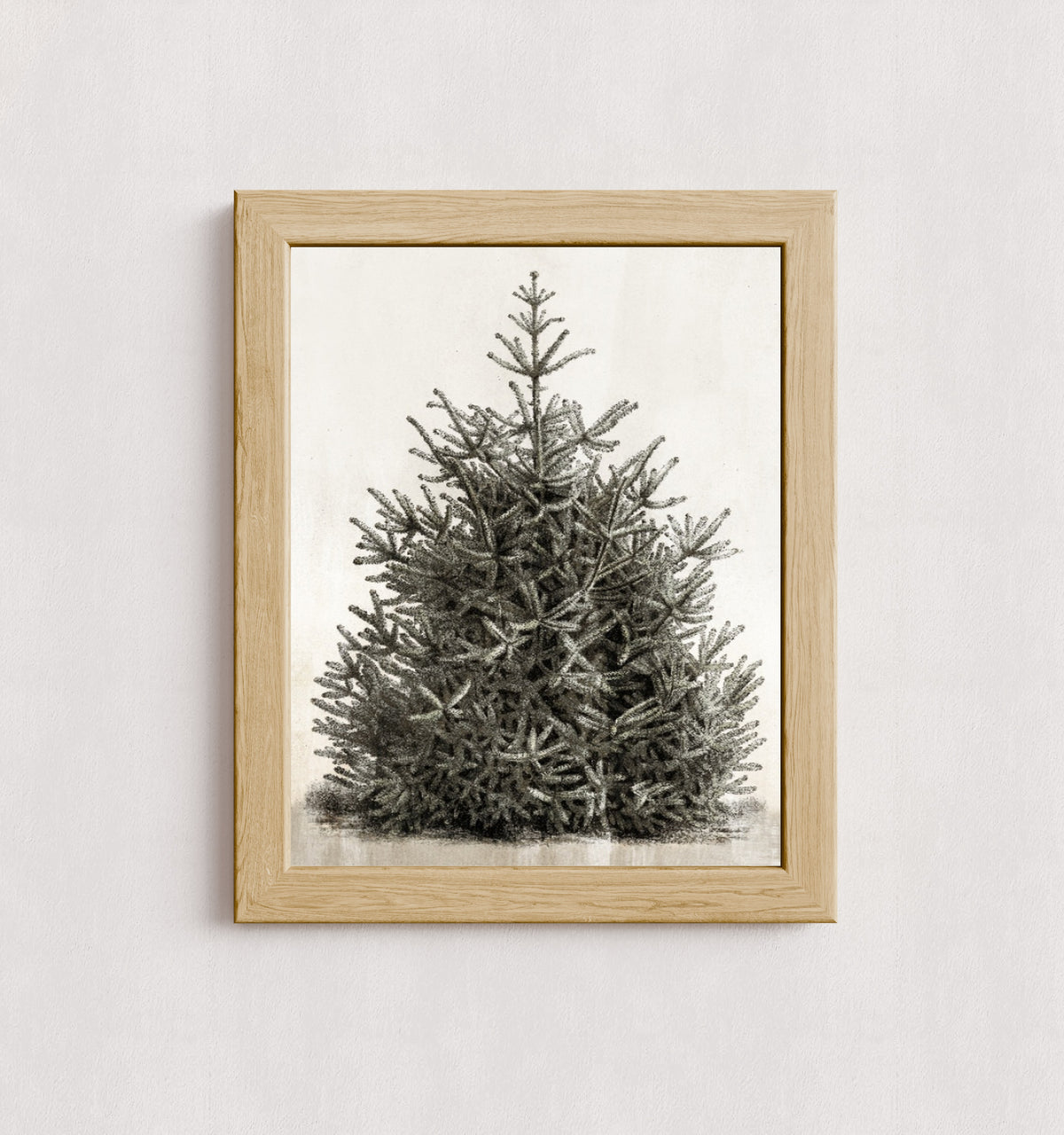 MPPR-WODF-ACRL-0000-11X14-P00-0107-210126-PISTUX-017101
