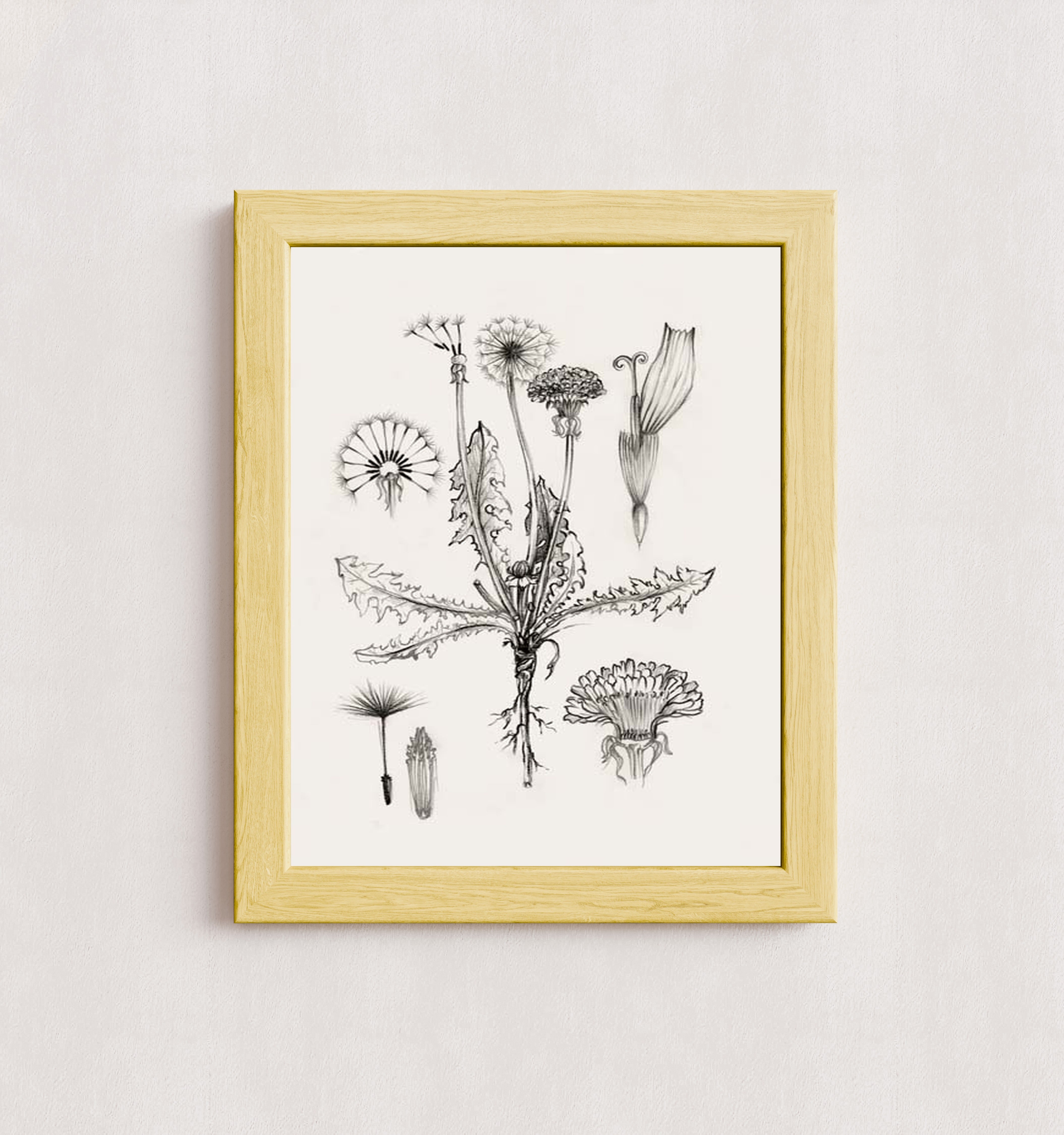MPPR-WODF-ACRL-0000-11X14-P00-0278-250430-ELIJON-015701
