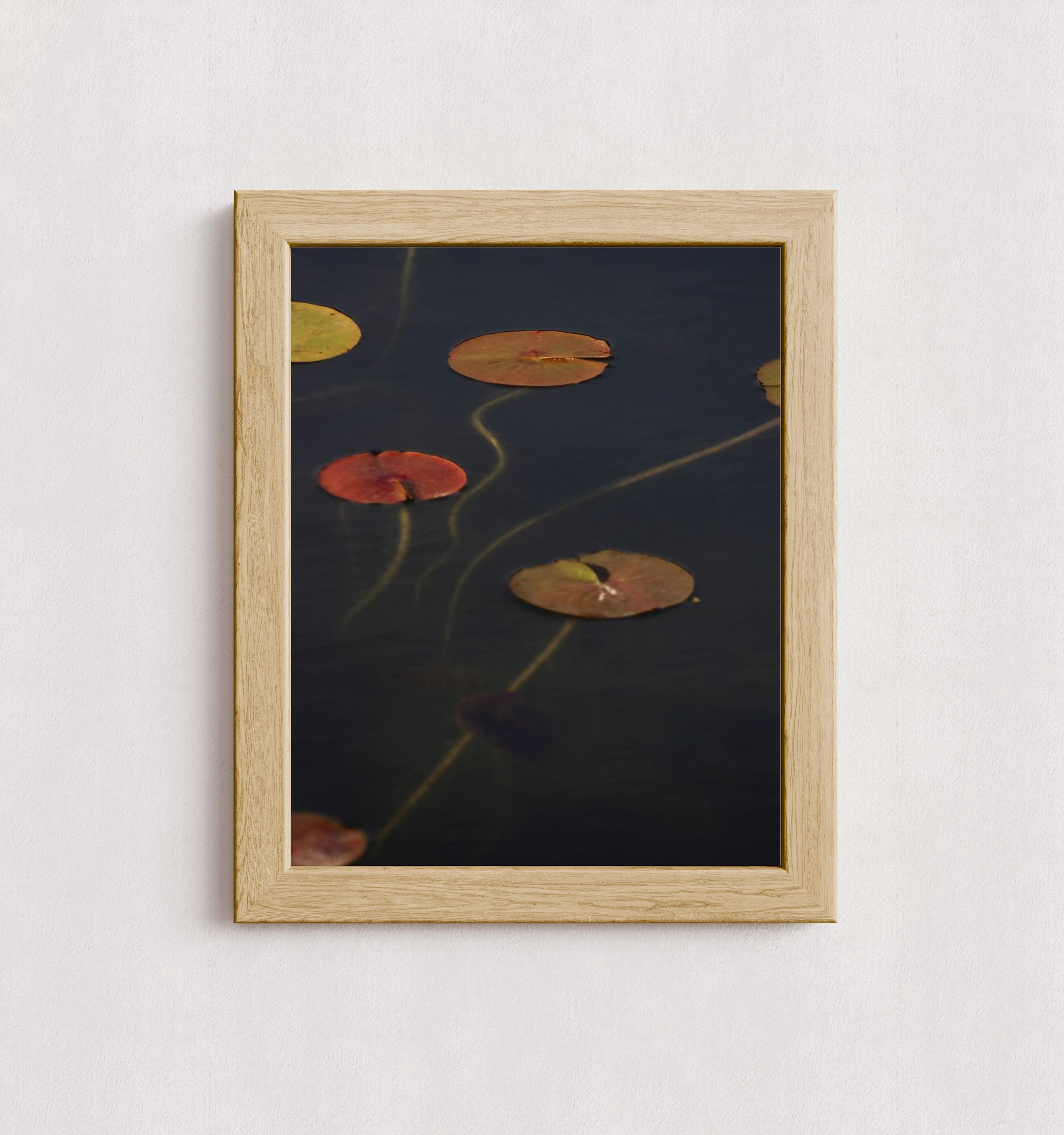 MPPR-WODF-ACRL-0000-11X14-P01-0175-110224-NORSTE-009301