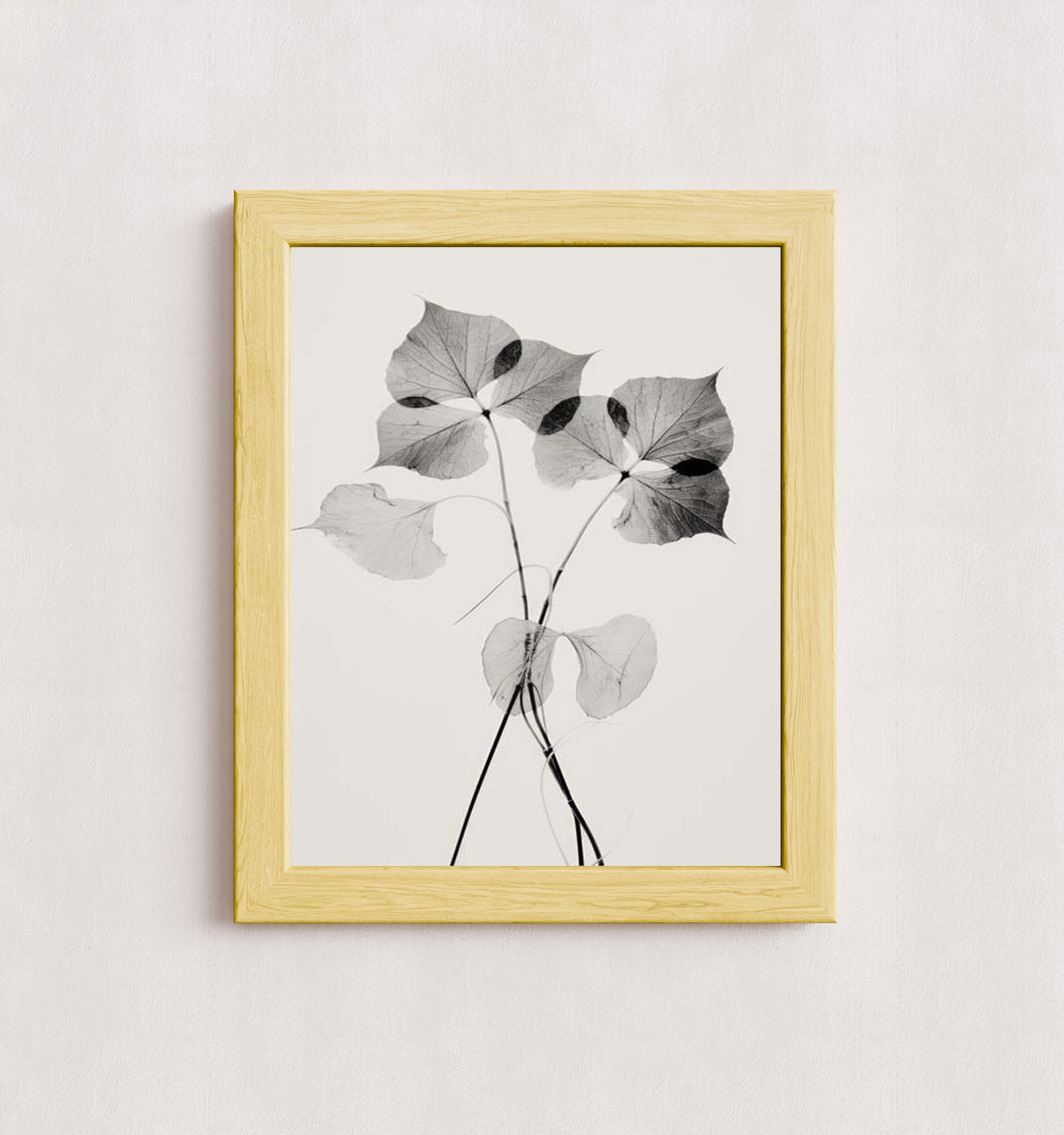 MPPR-WODF-ACRL-0000-11X14-P01-0190-260330-1XXXXX-139801