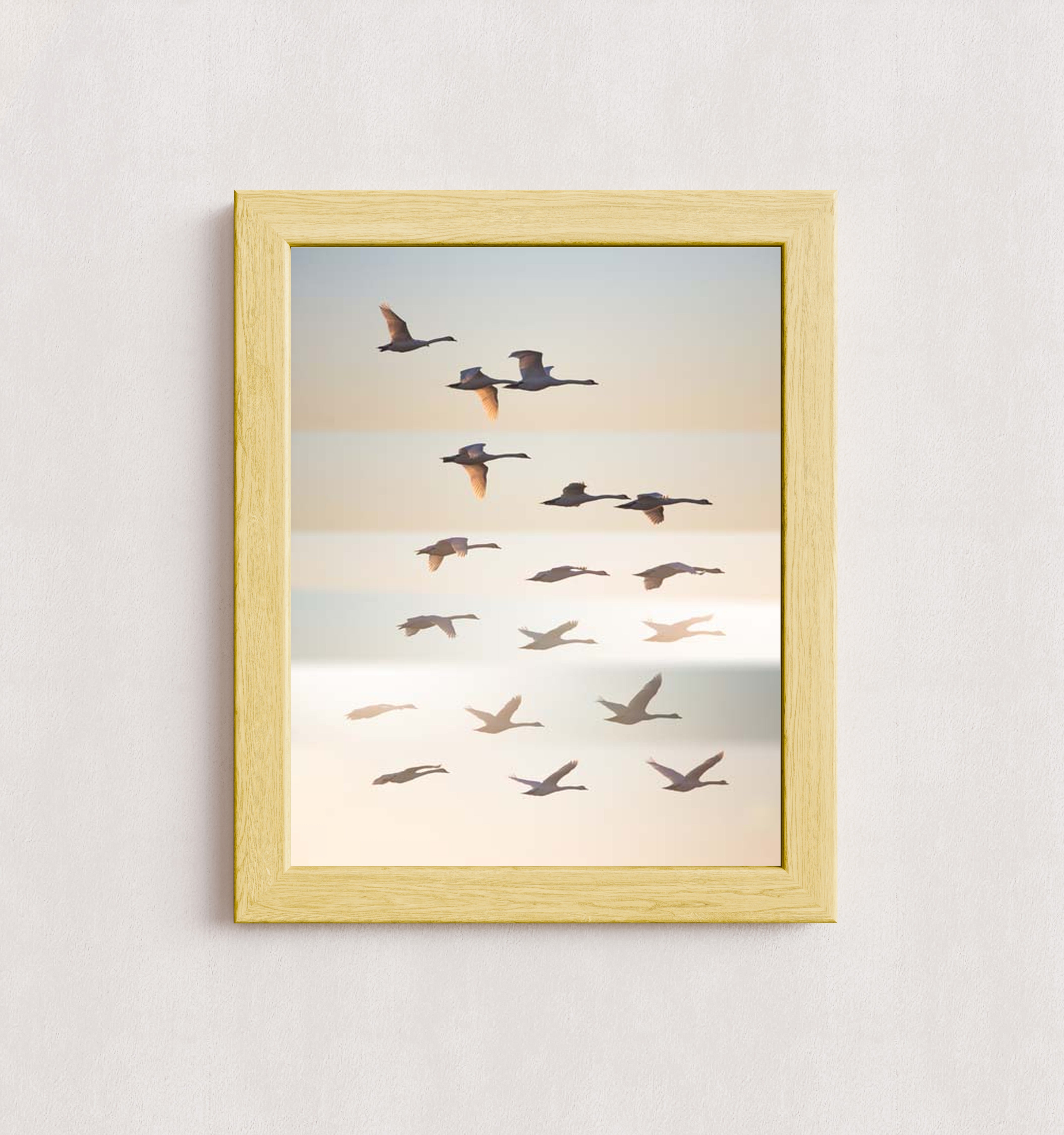 MPPR-WODF-ACRL-0000-11X14-P01-0190-260602-1XXXXX-171501