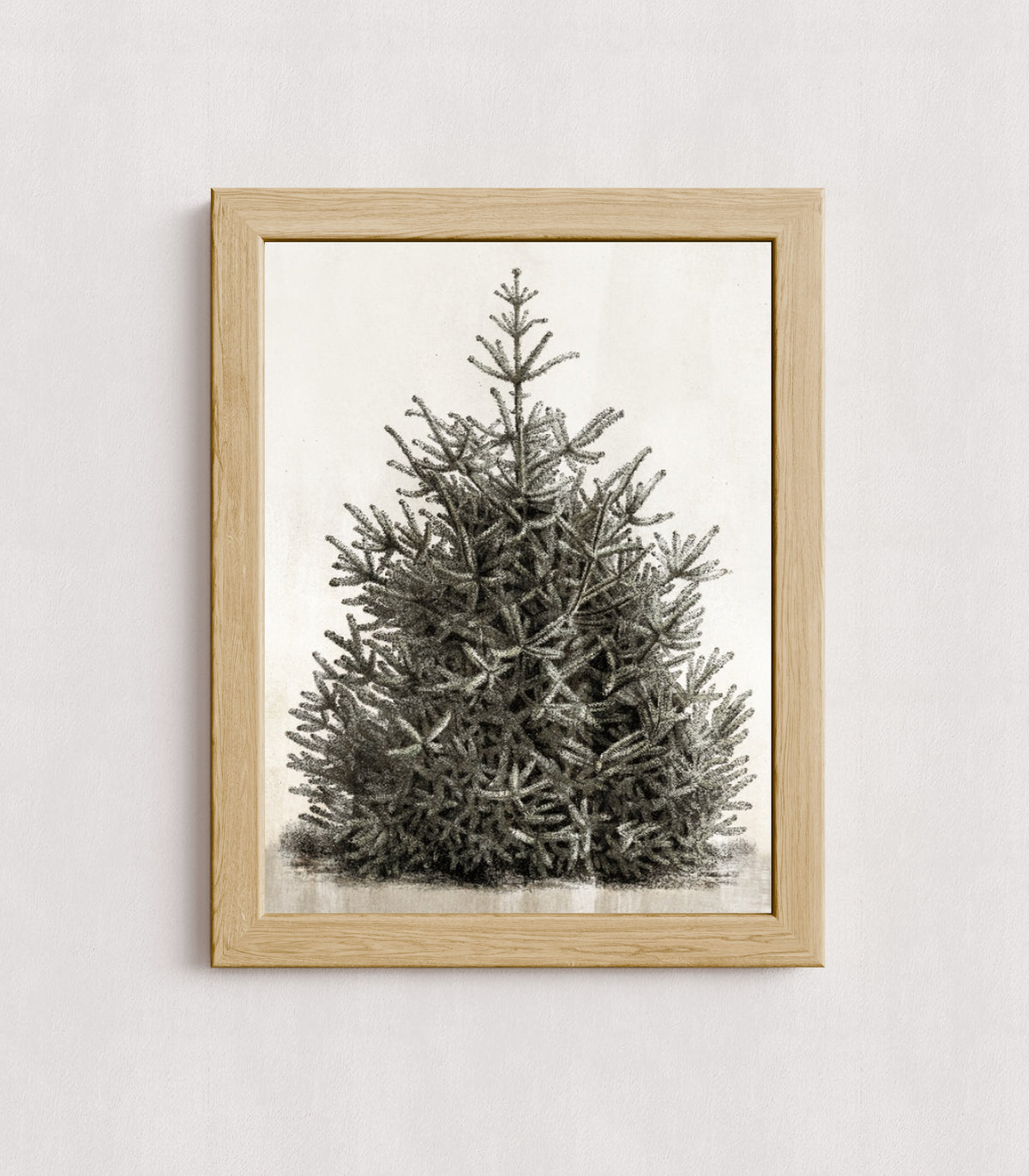 MPPR-WODF-ACRL-0000-12X16-P00-0107-210126-PISTUX-017101