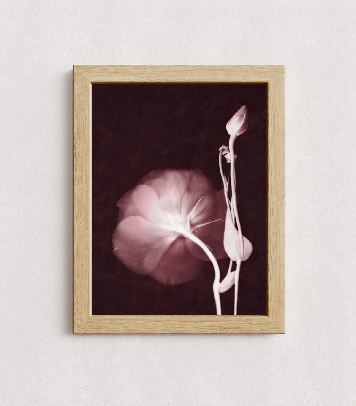 MPPR-WODF-ACRL-0000-12X16-P01-0148-160816-LEDROB-007001