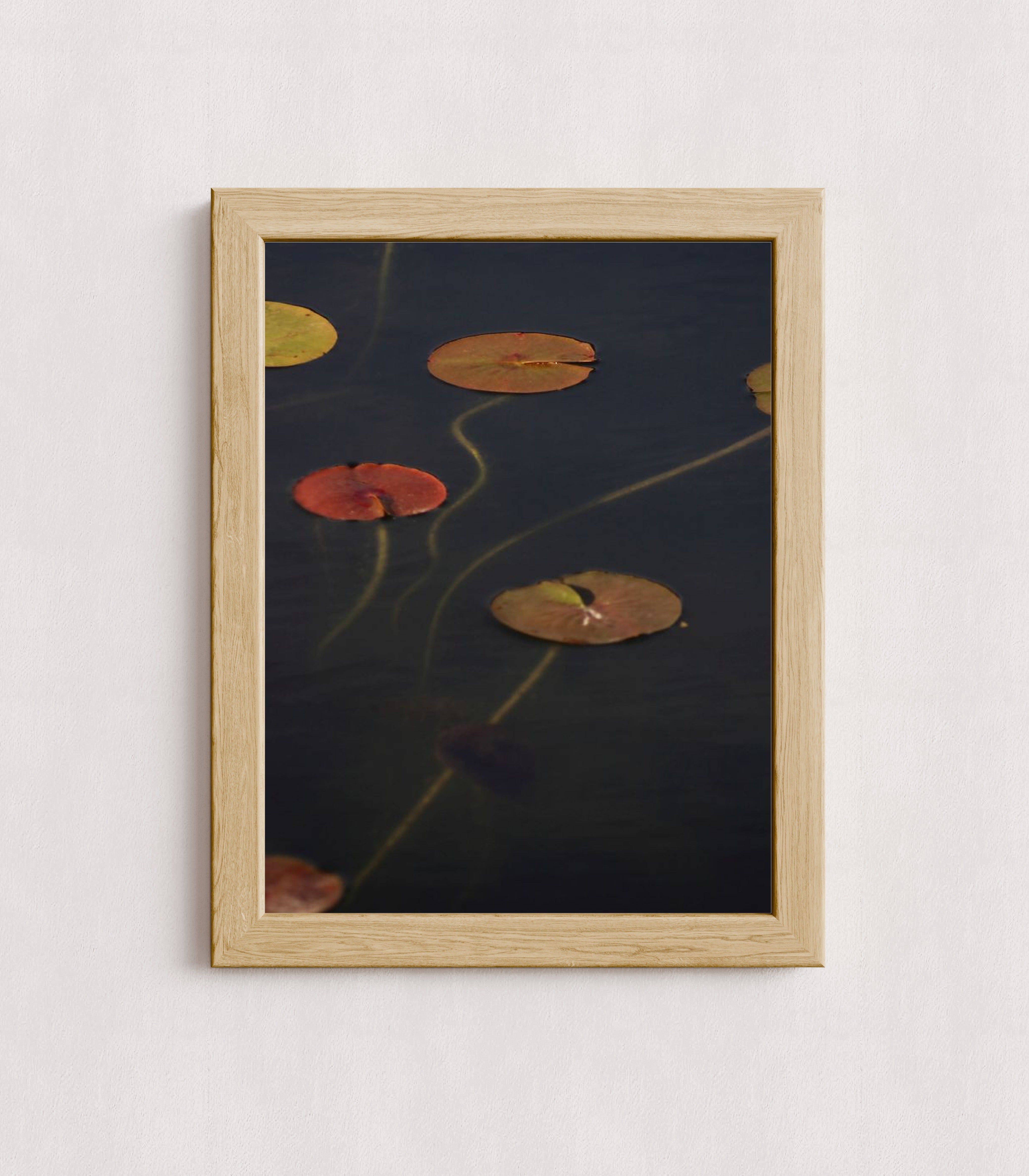 MPPR-WODF-ACRL-0000-12X16-P01-0175-110224-NORSTE-009301