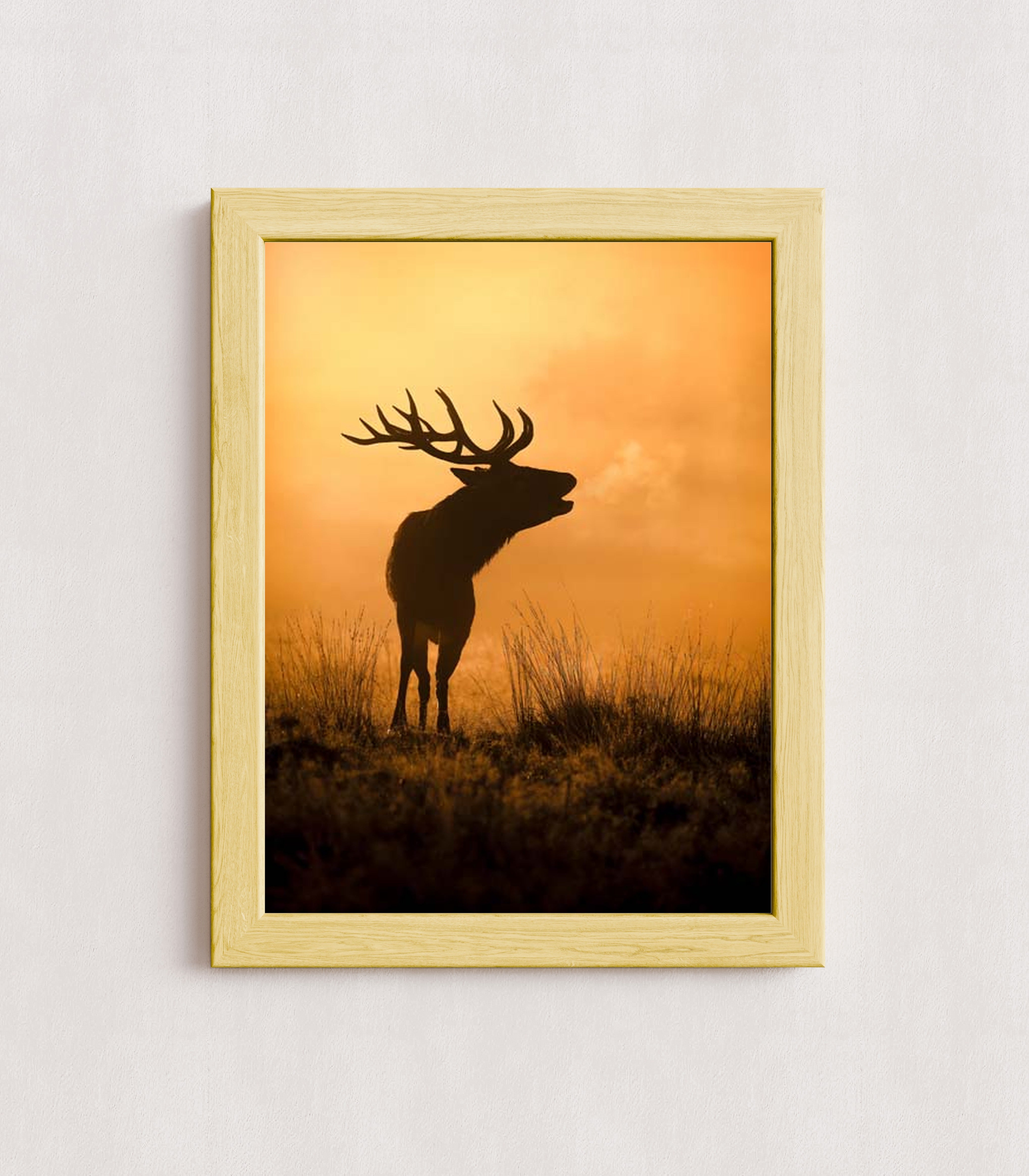 MPPR-WODF-ACRL-0000-12X16-P01-0189-240806-1XXXXX-079401