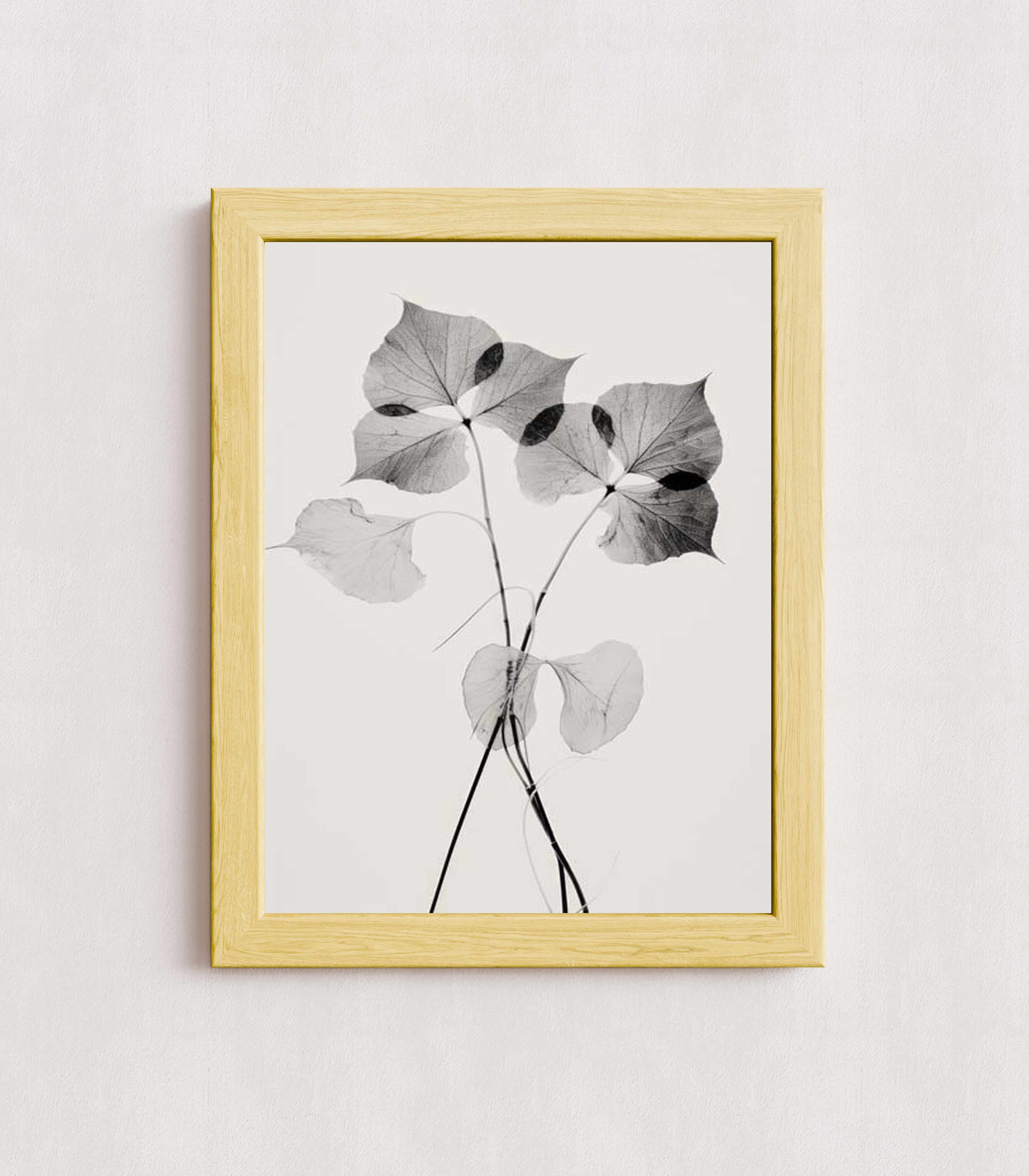 MPPR-WODF-ACRL-0000-12X16-P01-0190-260330-1XXXXX-139801