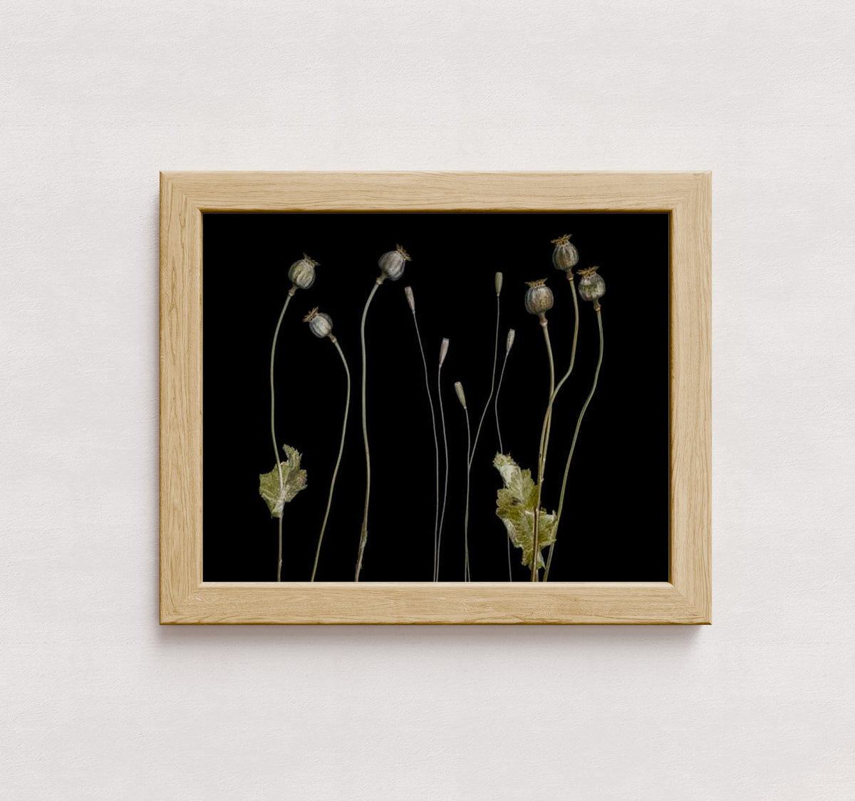 MPPR-WODF-ACRL-0000-14X11-P01-0189-210419-1XXXXX-009101