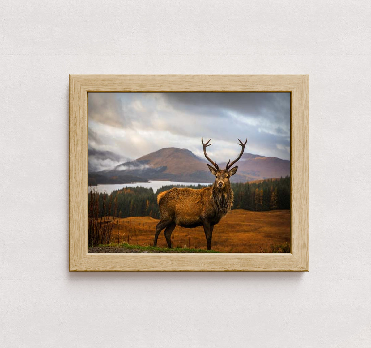 MPPR-WODF-ACRL-0000-14X11-P01-0190-260602-1XXXXX-170401
