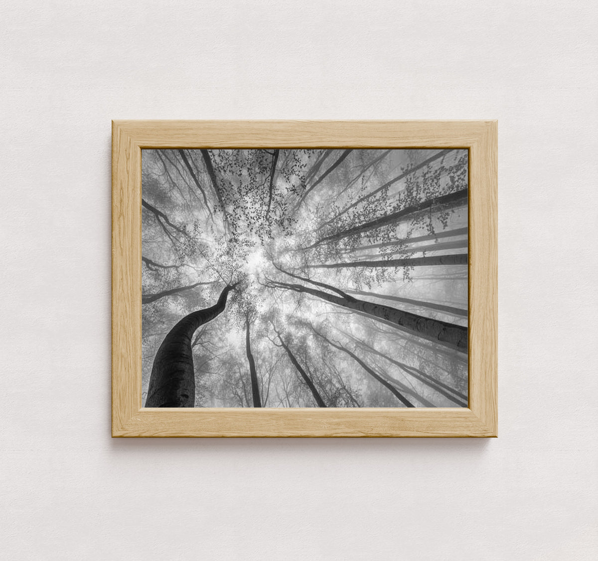 MPPR-WODF-ACRL-0000-14X11-P01-9998-260904-1XXXX2-018301