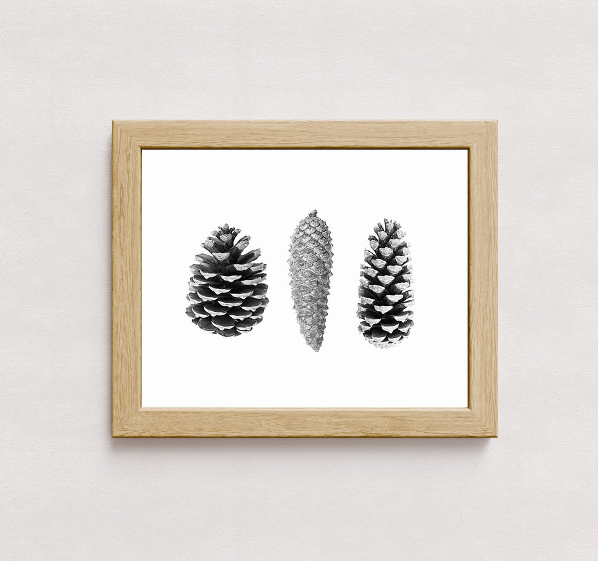 MPPR-WODF-ACRL-0000-14X11-P01-9998-261006-1XXXX2-030301