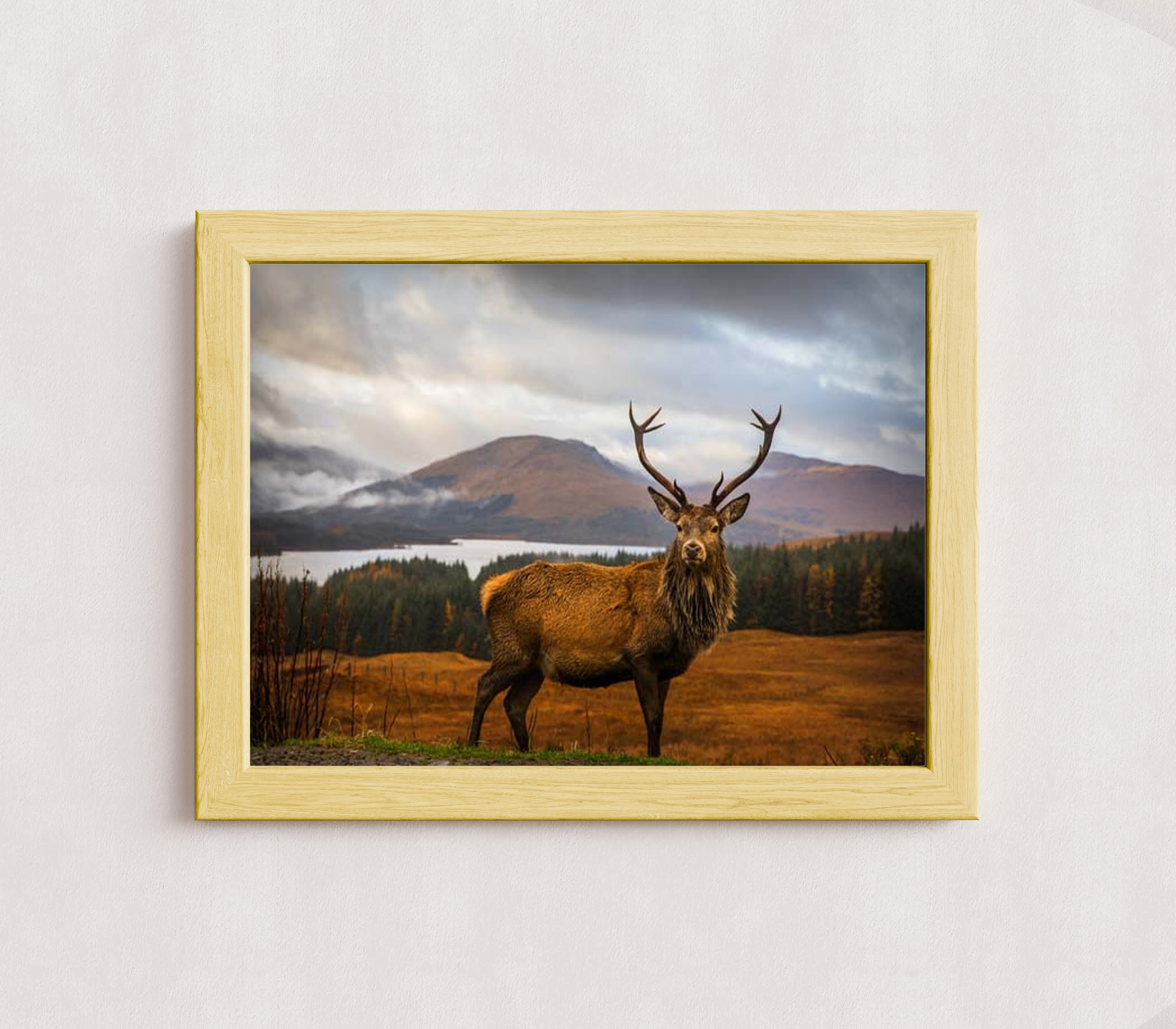 MPPR-WODF-ACRL-0000-16X12-P01-0190-260602-1XXXXX-170401