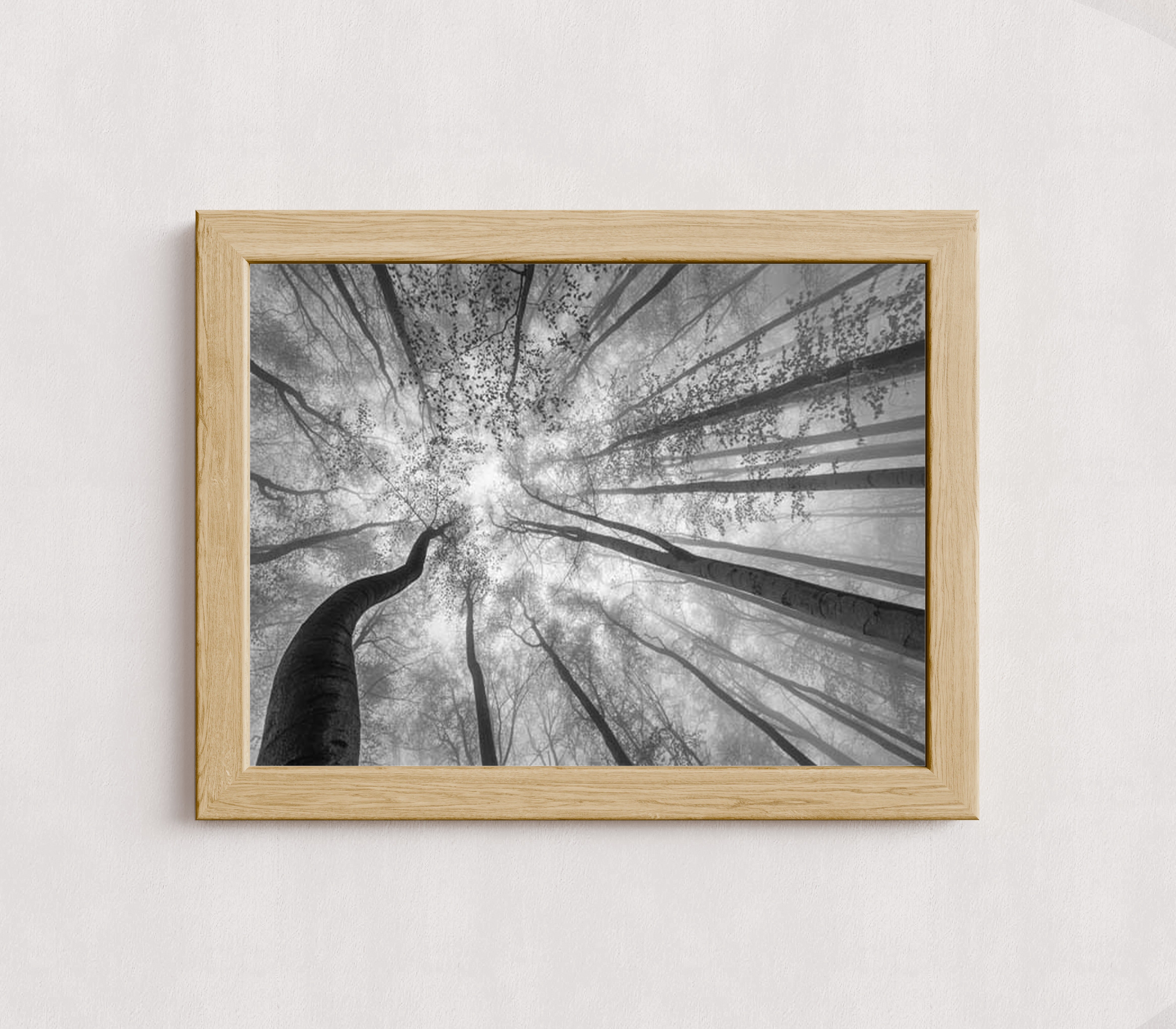 MPPR-WODF-ACRL-0000-16X12-P01-9998-260904-1XXXX2-018301