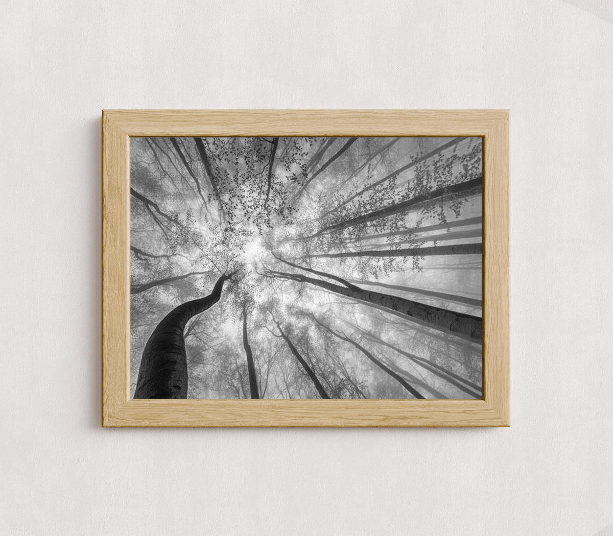 MPPR-WODF-ACRL-0000-16X12-P01-9998-260904-1XXXX2-018301