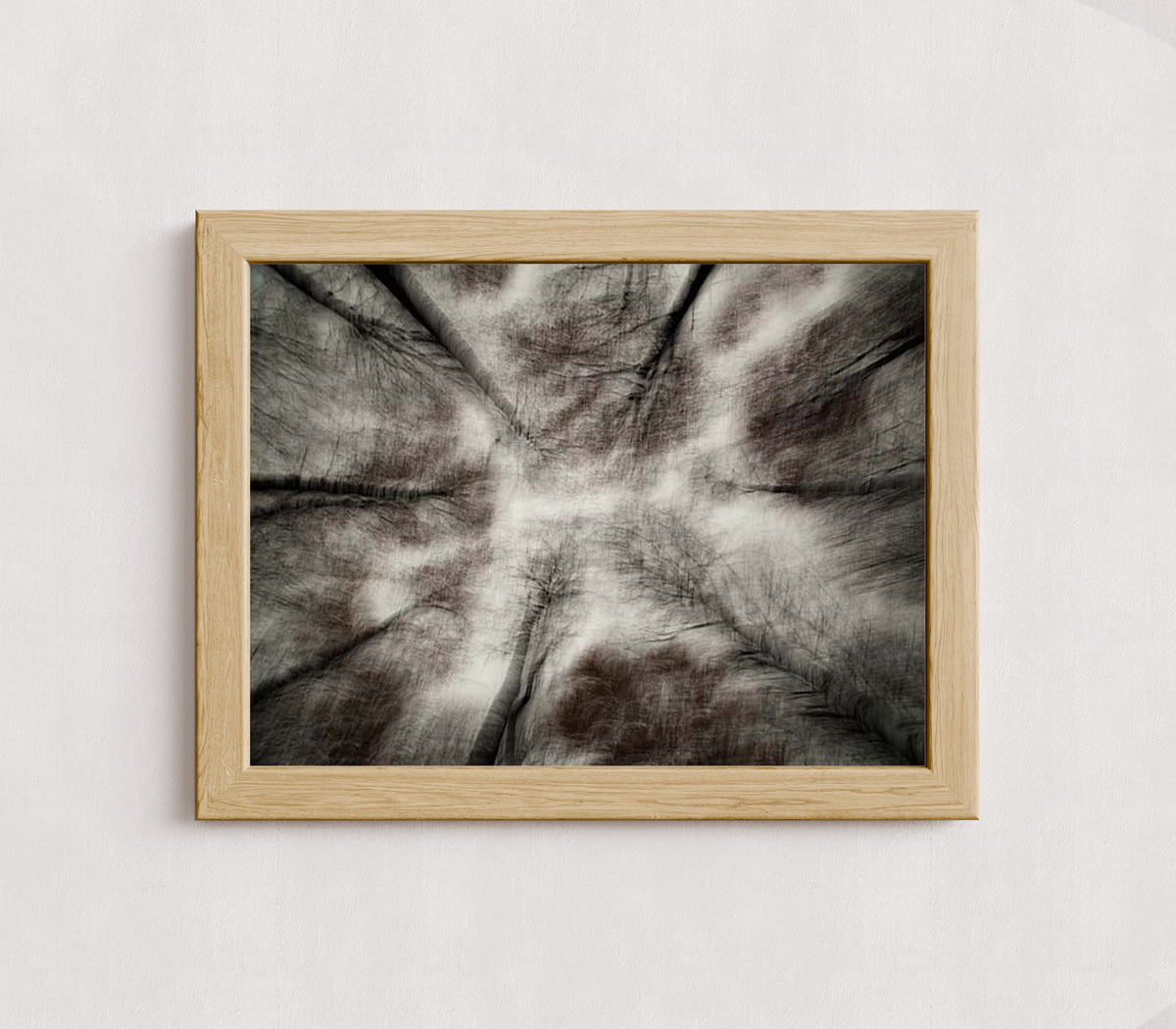 MPPR-WODF-ACRL-0000-16X12-P01-9998-260904-1XXXX2-018801