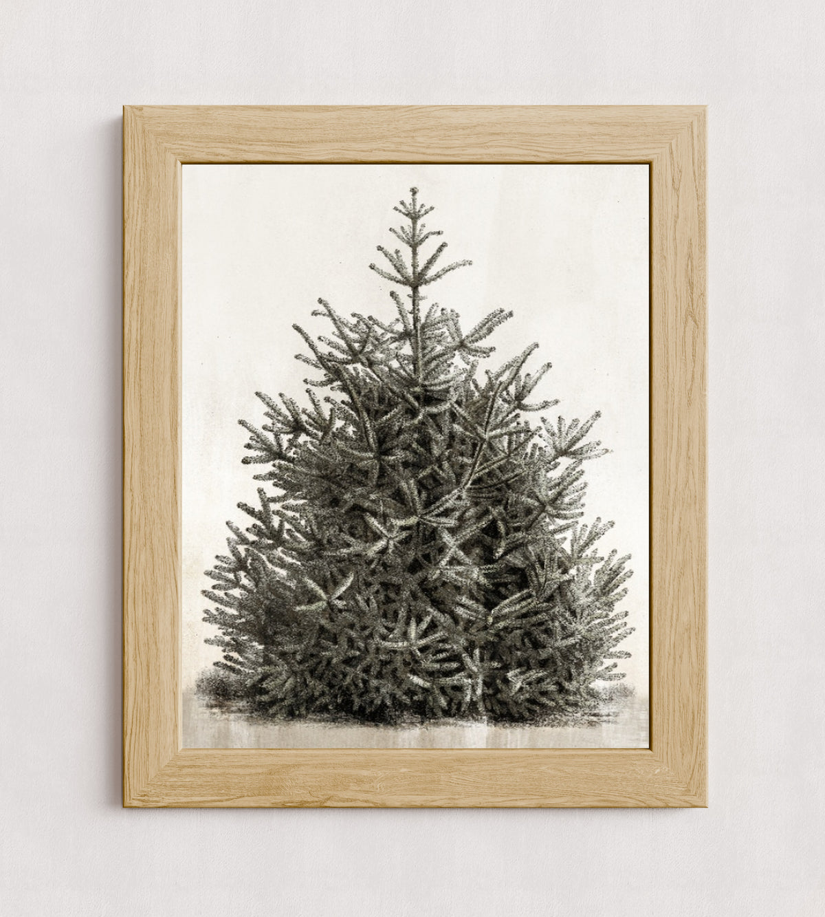 MPPR-WODF-ACRL-0000-16X20-P00-0107-210126-PISTUX-017101