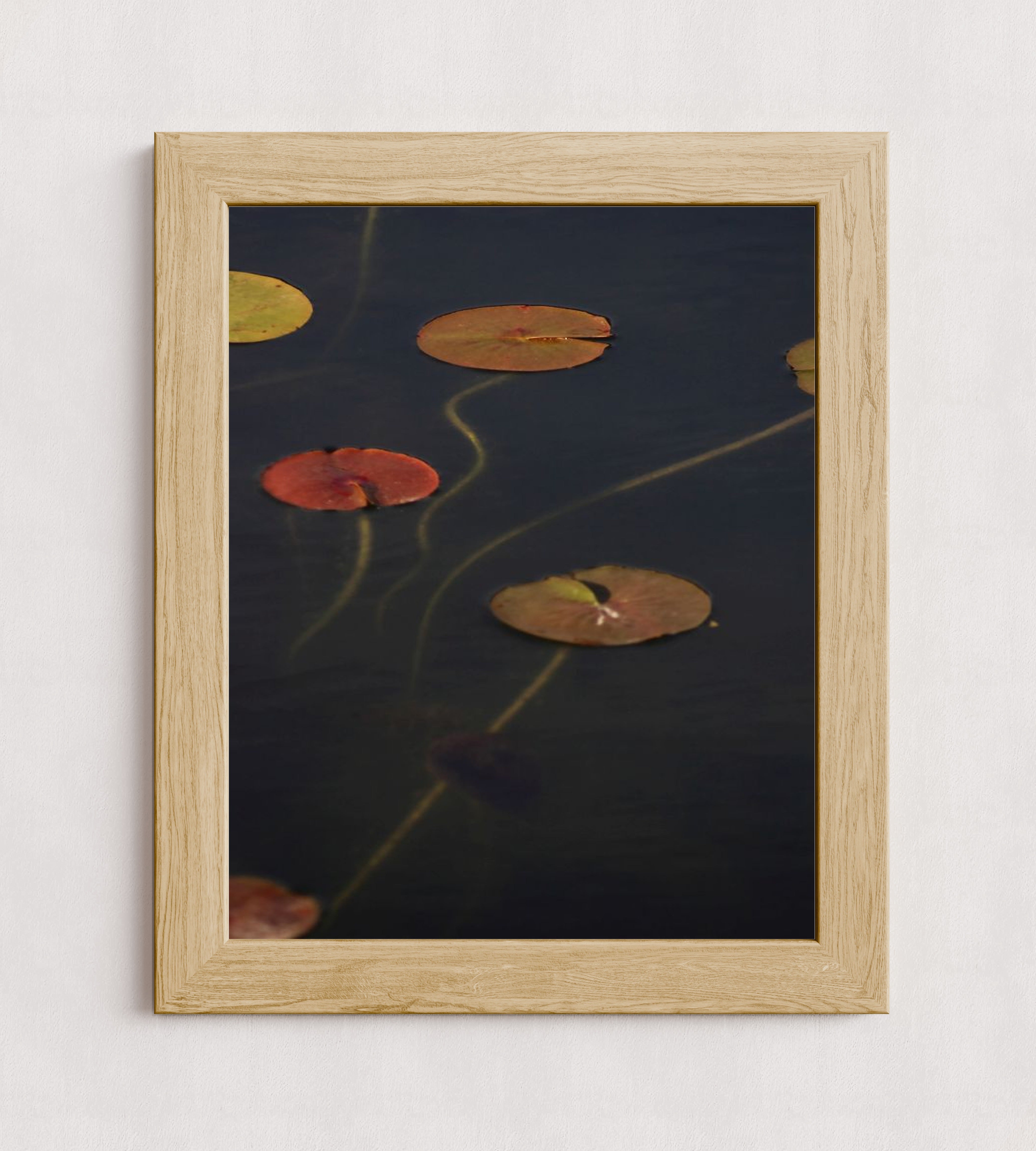 MPPR-WODF-ACRL-0000-16X20-P01-0175-110224-NORSTE-009301
