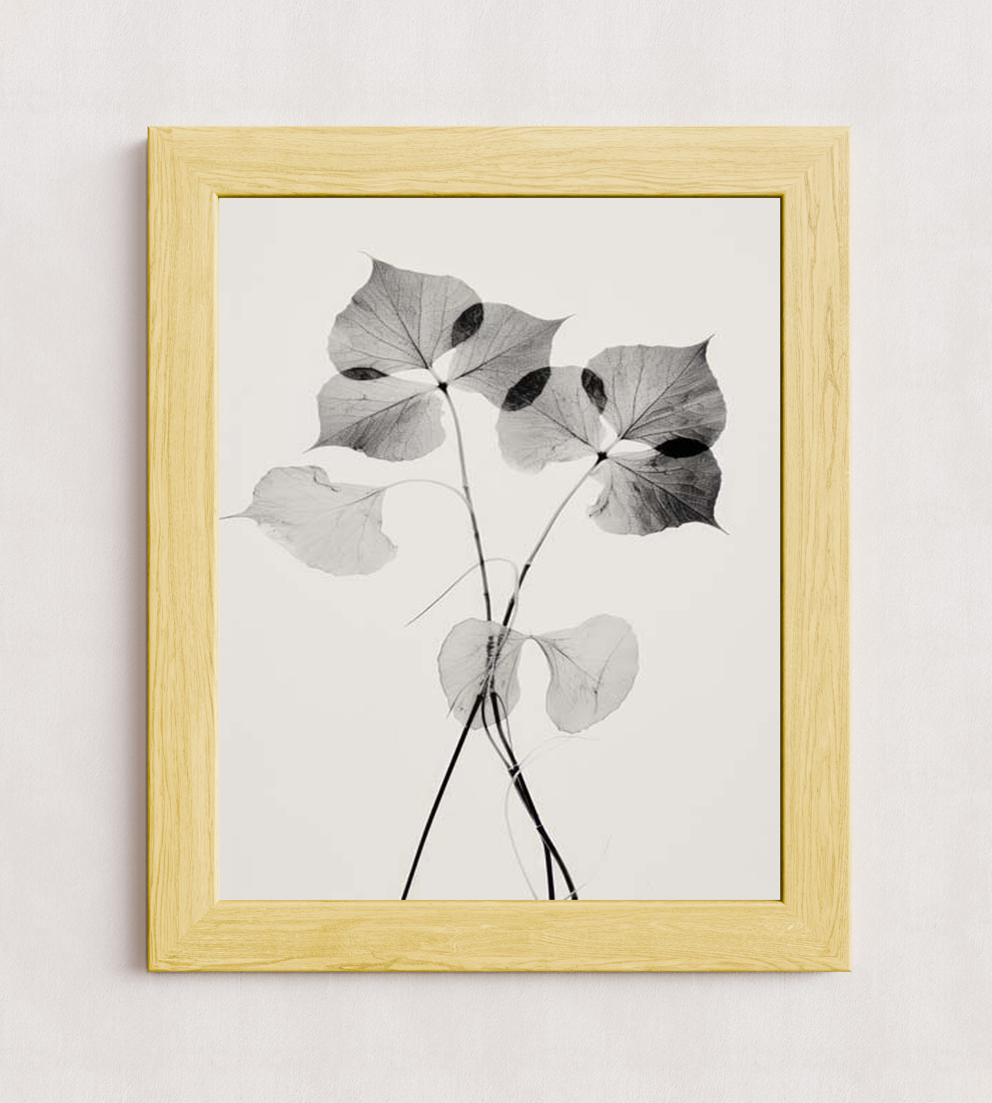 MPPR-WODF-ACRL-0000-16X20-P01-0190-260330-1XXXXX-139801