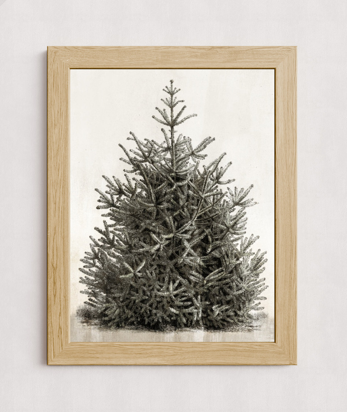 MPPR-WODF-ACRL-0000-18X24-P00-0107-210126-PISTUX-017101