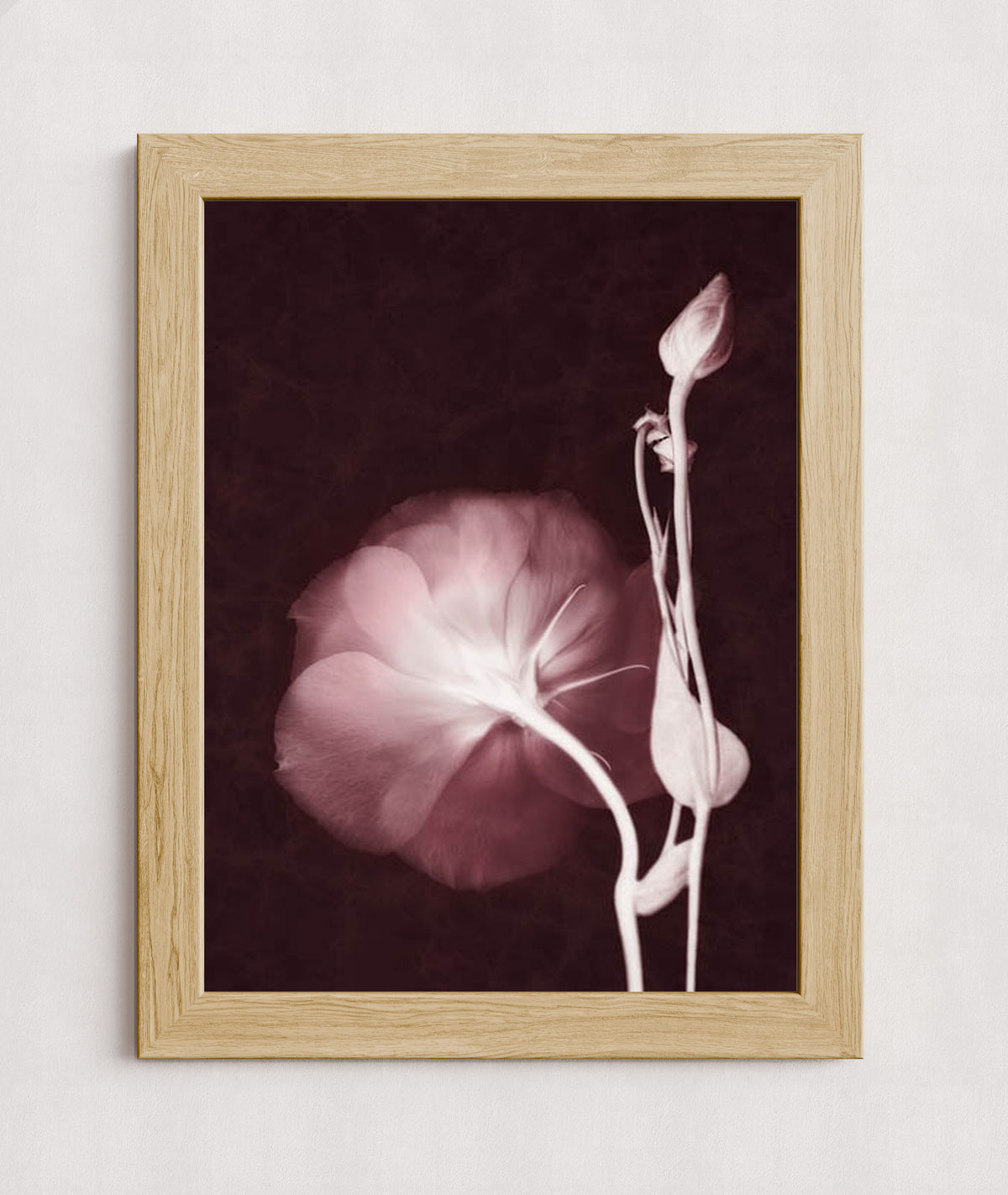 MPPR-WODF-ACRL-0000-18X24-P01-0148-160816-LEDROB-007001