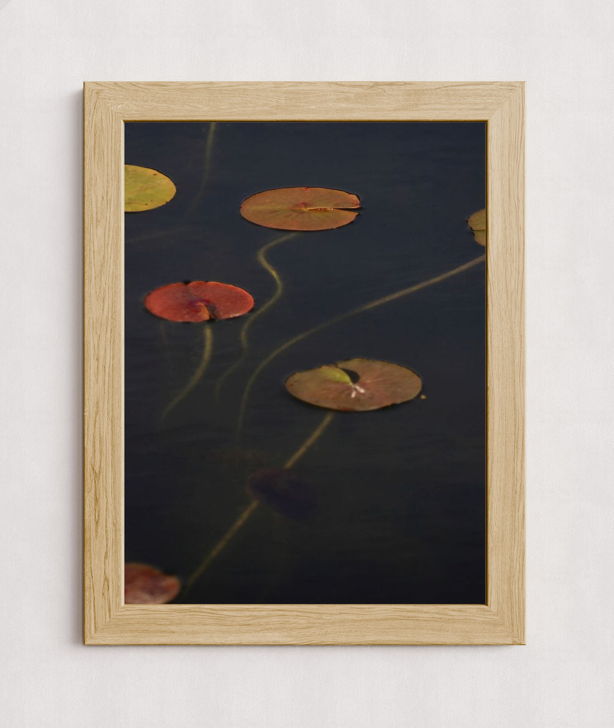 MPPR-WODF-ACRL-0000-18X24-P01-0175-110224-NORSTE-009301