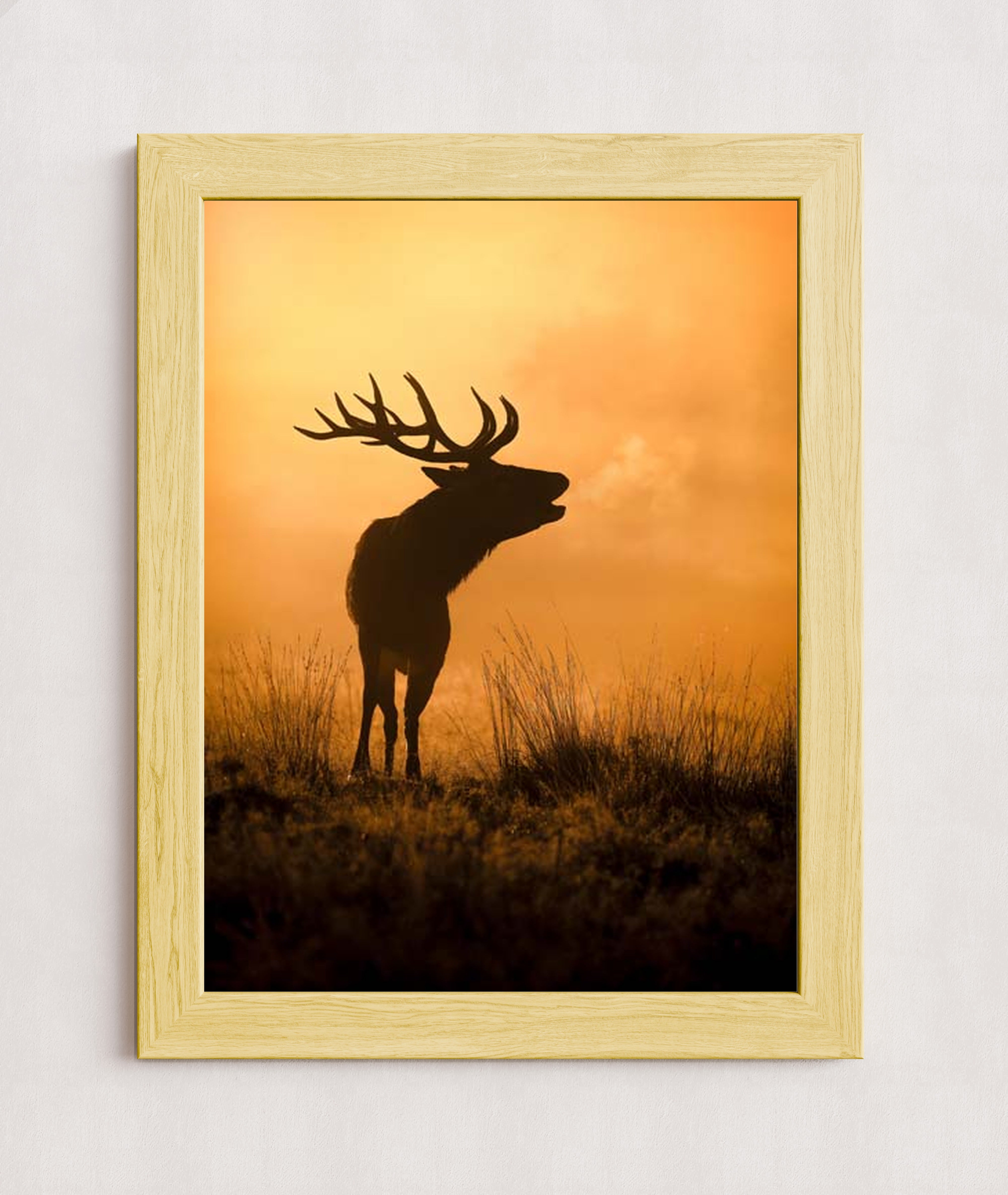 MPPR-WODF-ACRL-0000-18X24-P01-0189-240806-1XXXXX-079401