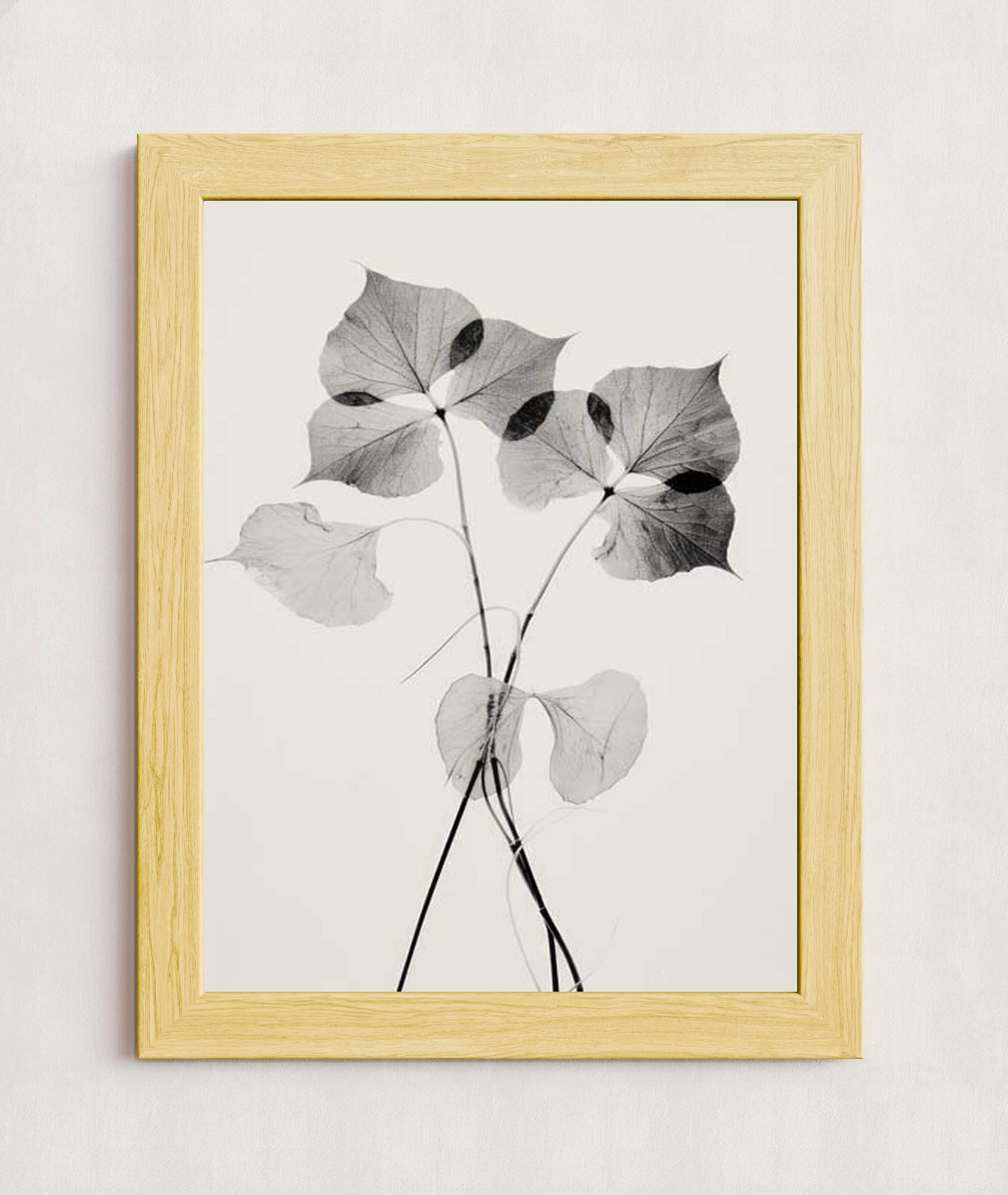 MPPR-WODF-ACRL-0000-18X24-P01-0190-260330-1XXXXX-139801