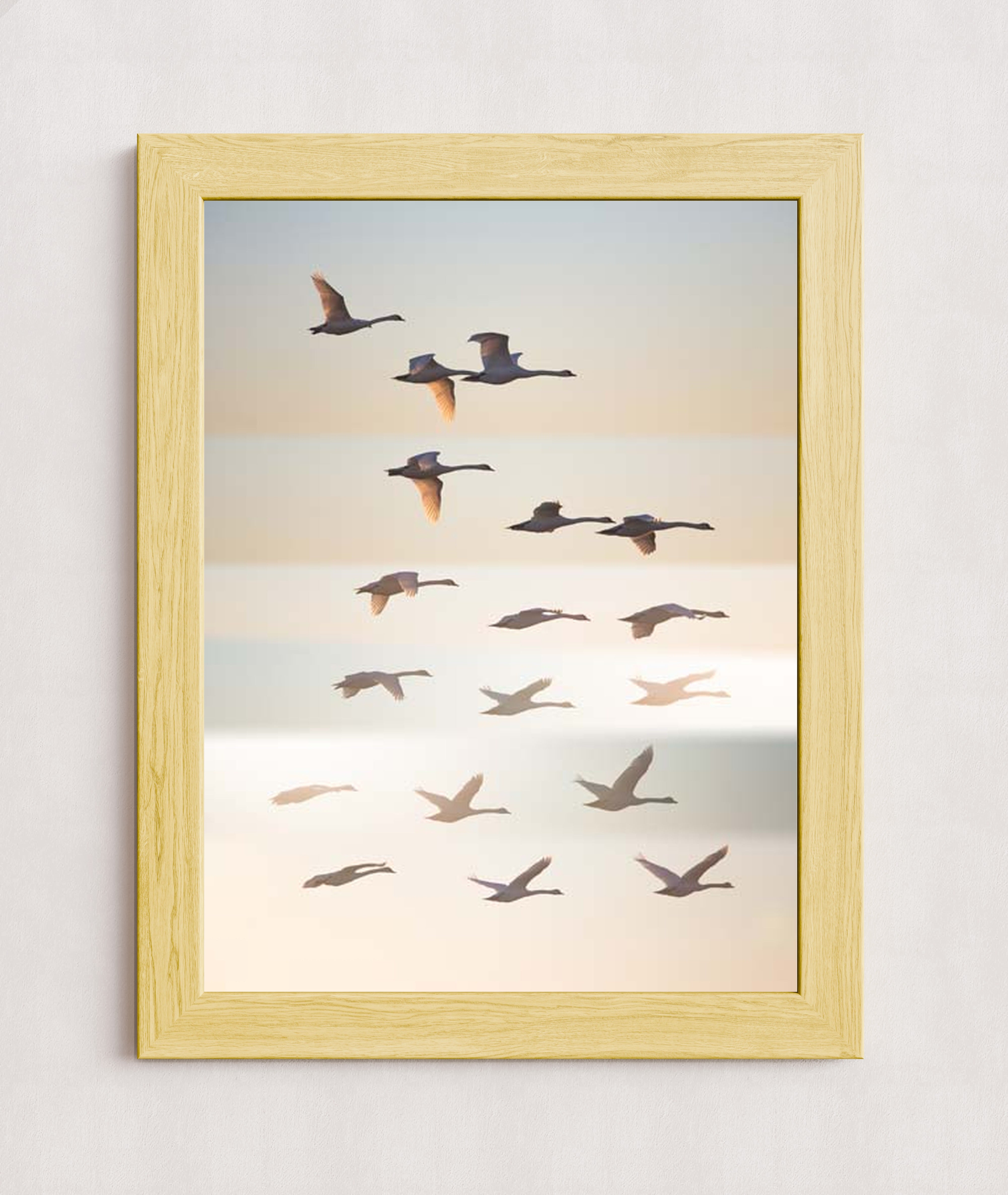 MPPR-WODF-ACRL-0000-18X24-P01-0190-260602-1XXXXX-171501