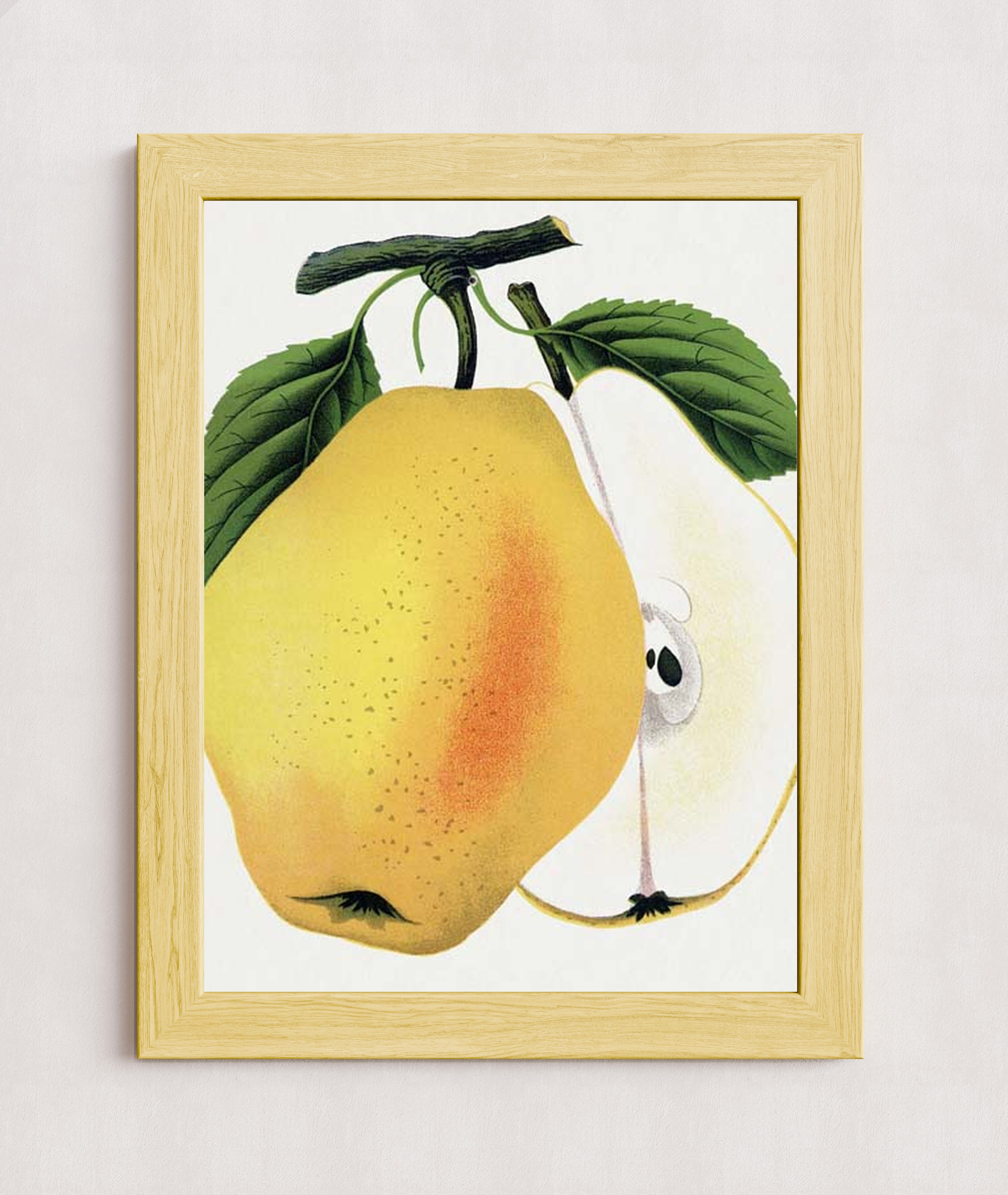 MPPR-WODF-ACRL-0000-18X24-P01-0190-260615-1XXXXX-176901