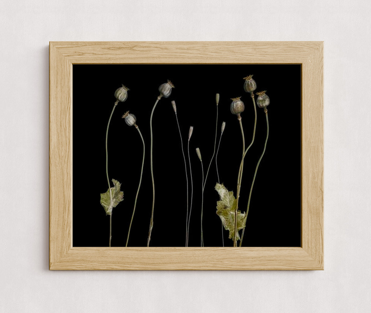 MPPR-WODF-ACRL-0000-20X16-P01-0189-210419-1XXXXX-009101