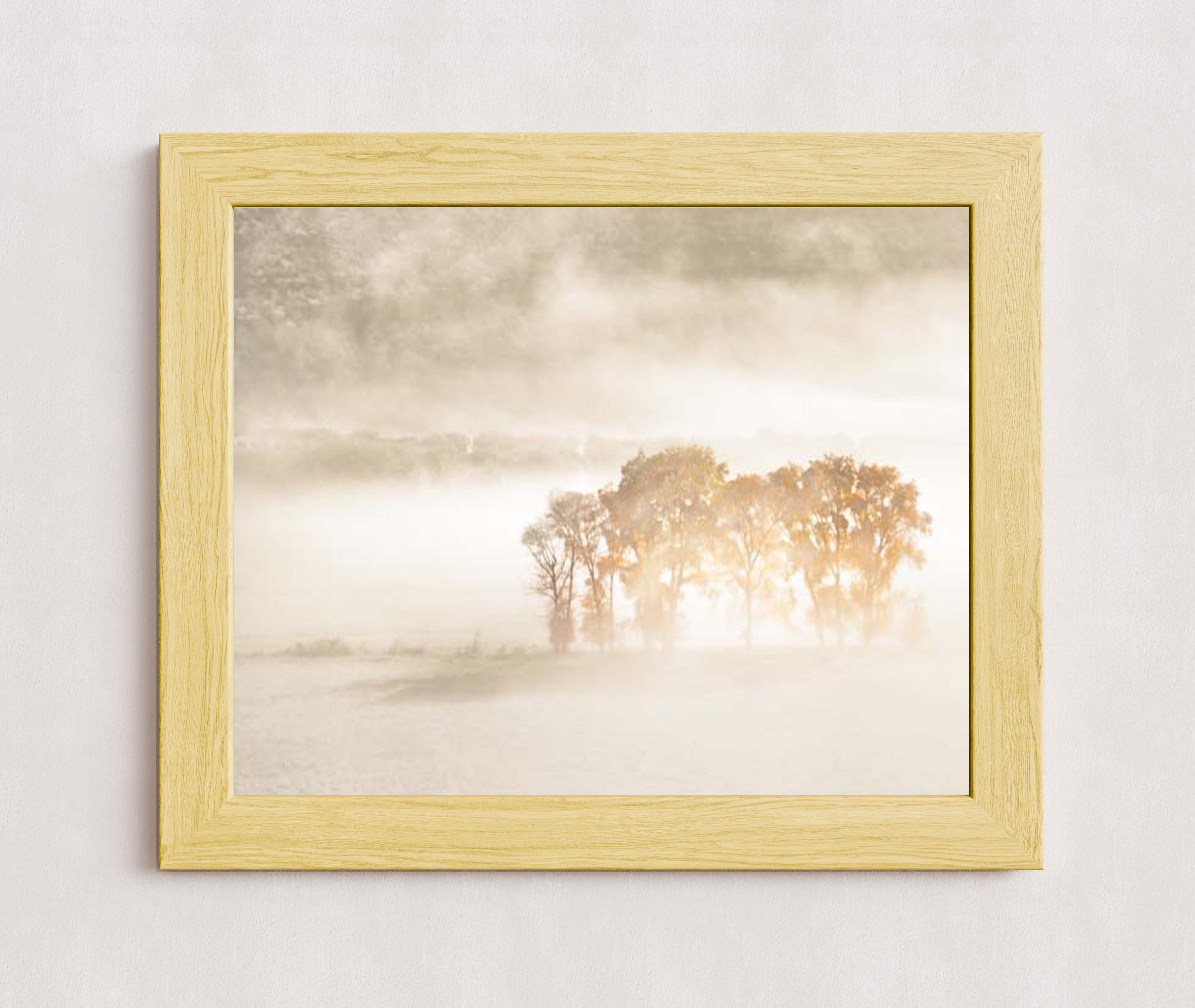 MPPR-WODF-ACRL-0000-20X16-P01-0189-220413-1XXXXX-029501