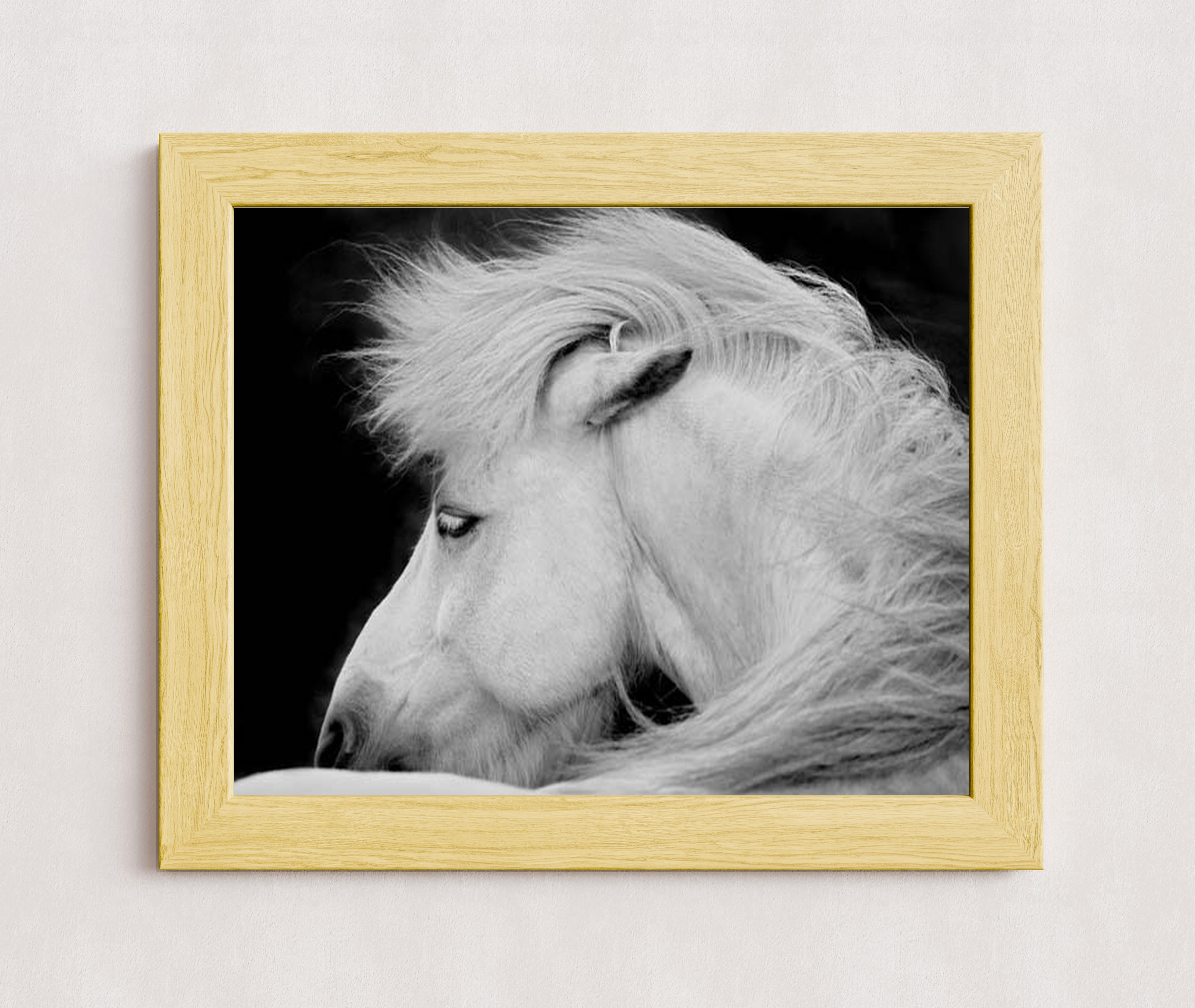 MPPR-WODF-ACRL-0000-20X16-P01-0189-240403-1XXXXX-073101