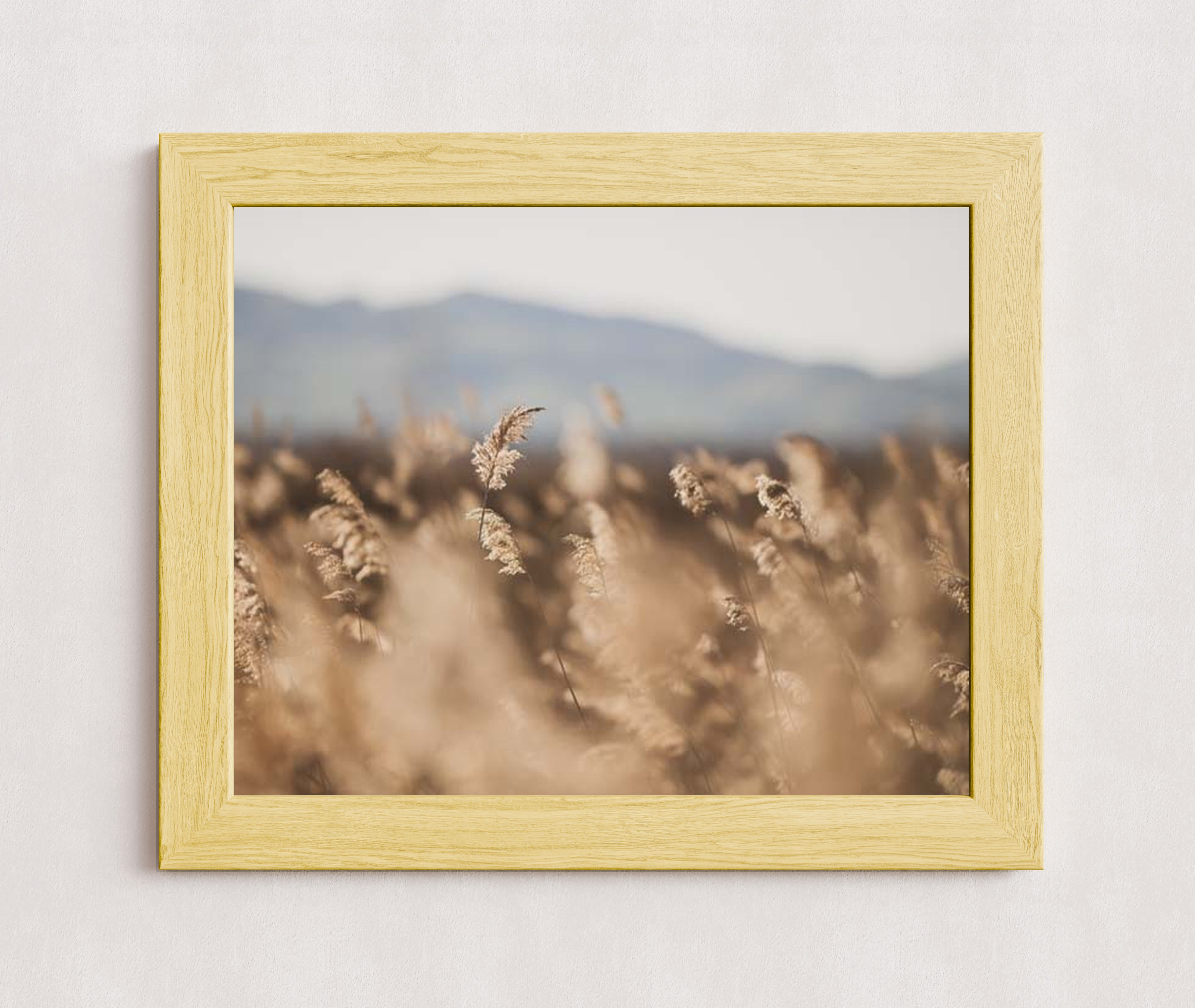 MPPR-WODF-ACRL-0000-20X16-P01-0189-240806-1XXXXX-083401
