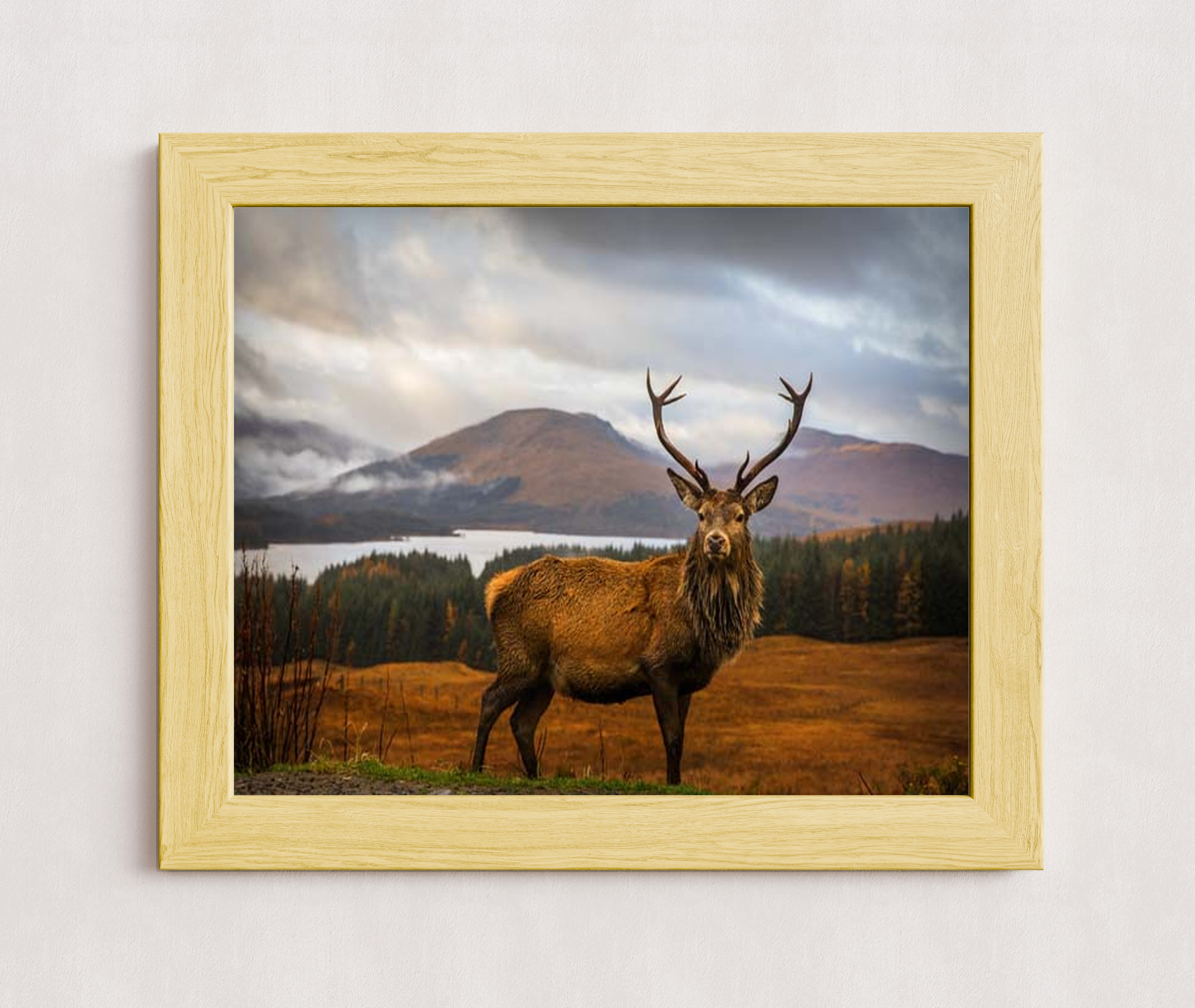 MPPR-WODF-ACRL-0000-20X16-P01-0190-260602-1XXXXX-170401