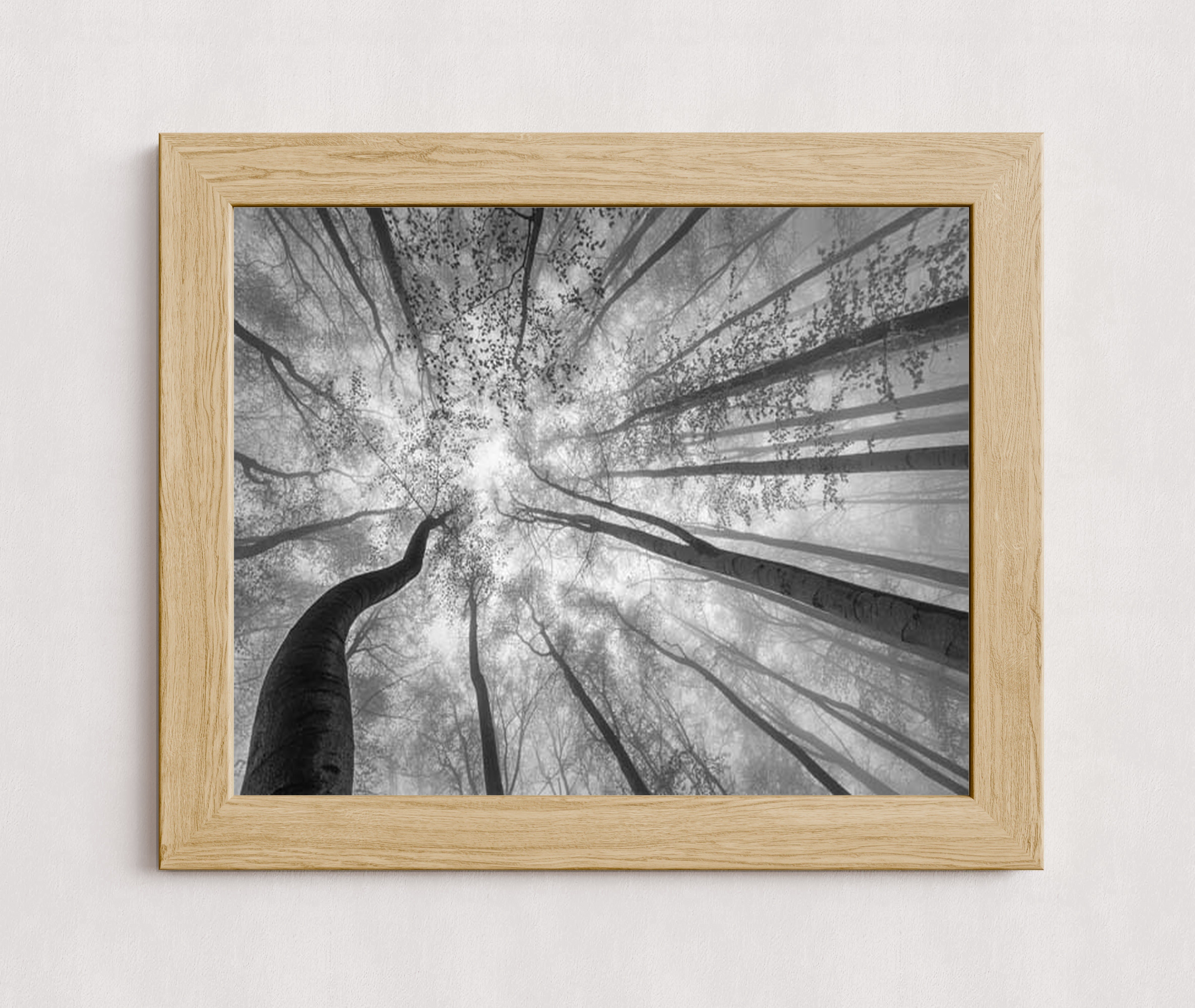 MPPR-WODF-ACRL-0000-20X16-P01-9998-260904-1XXXX2-018301
